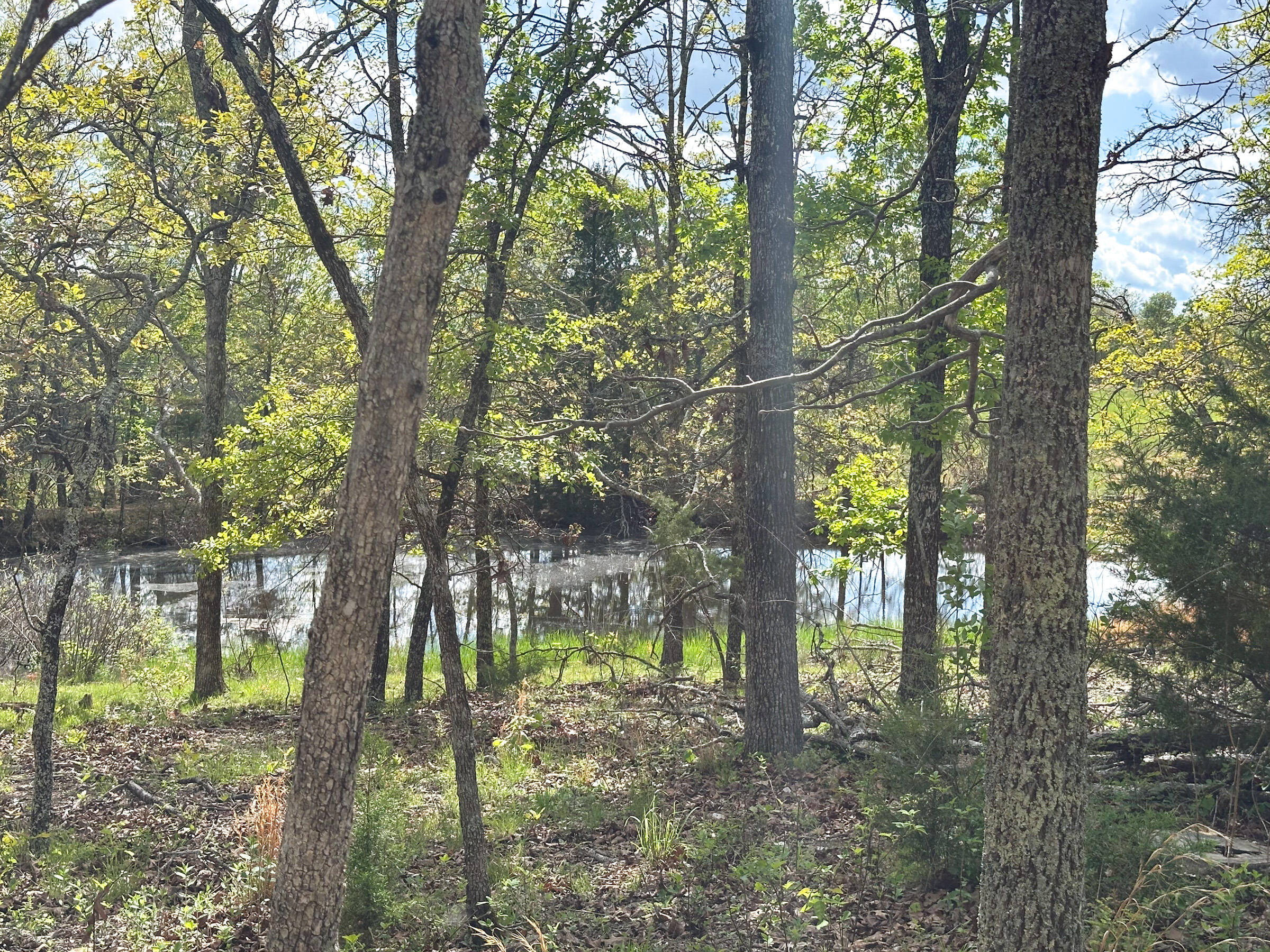 4420 State Route Dd Property Photo 56