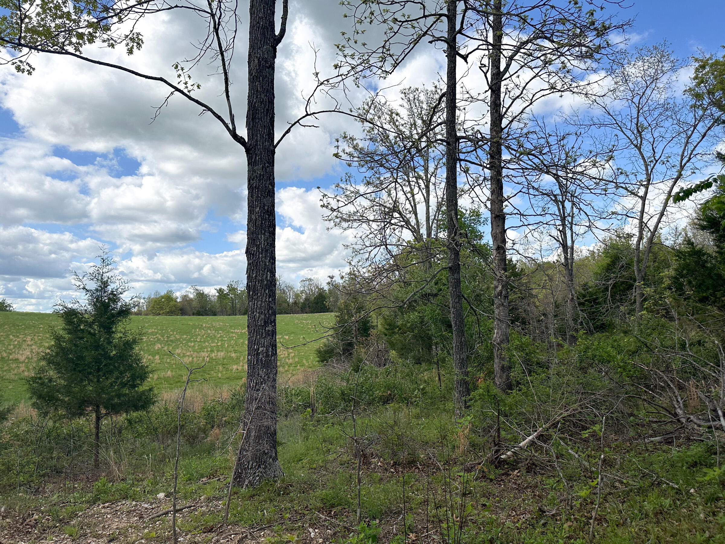 4420 State Route Dd Property Photo 58