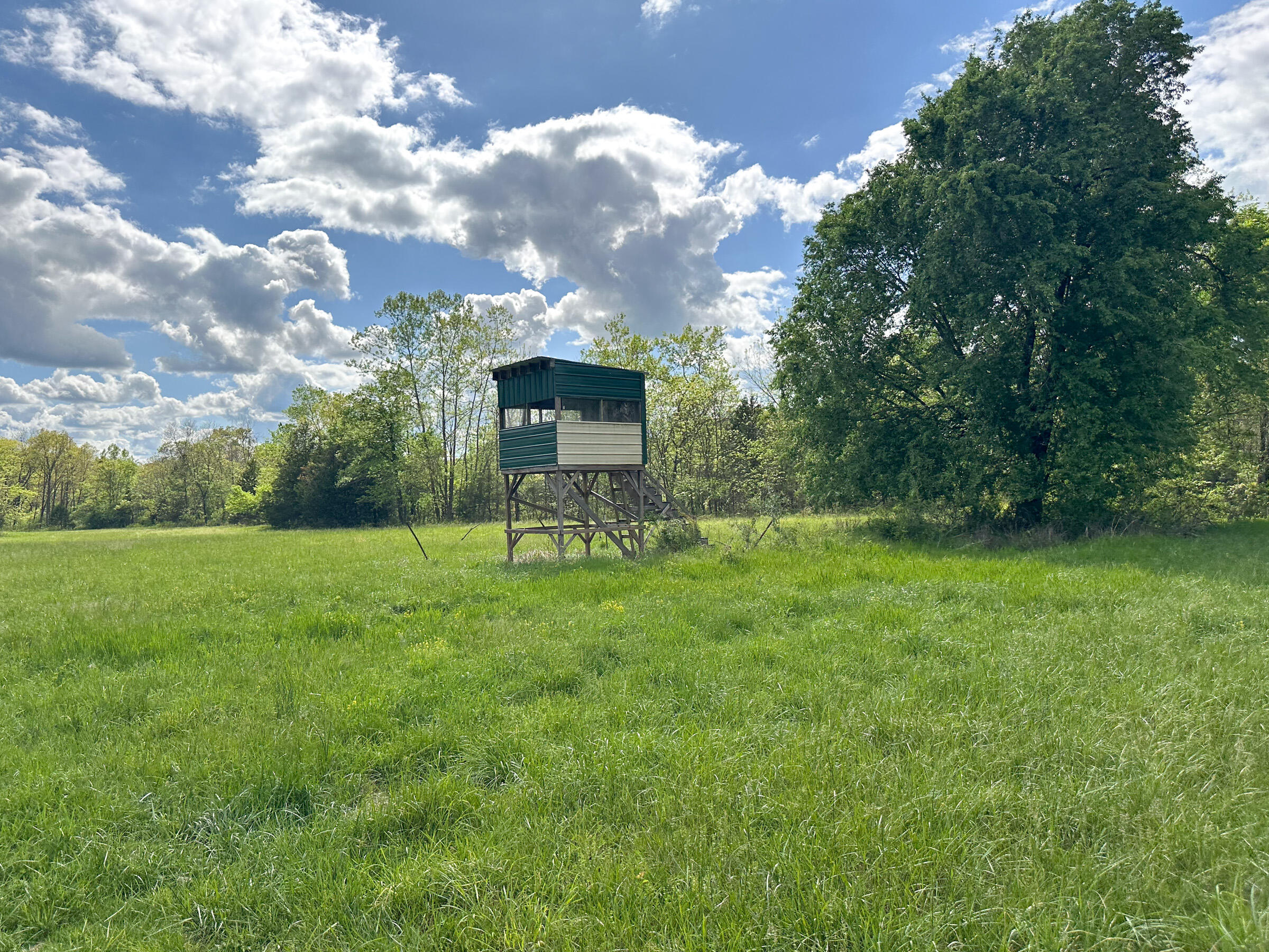 4420 State Route Dd Property Photo 59