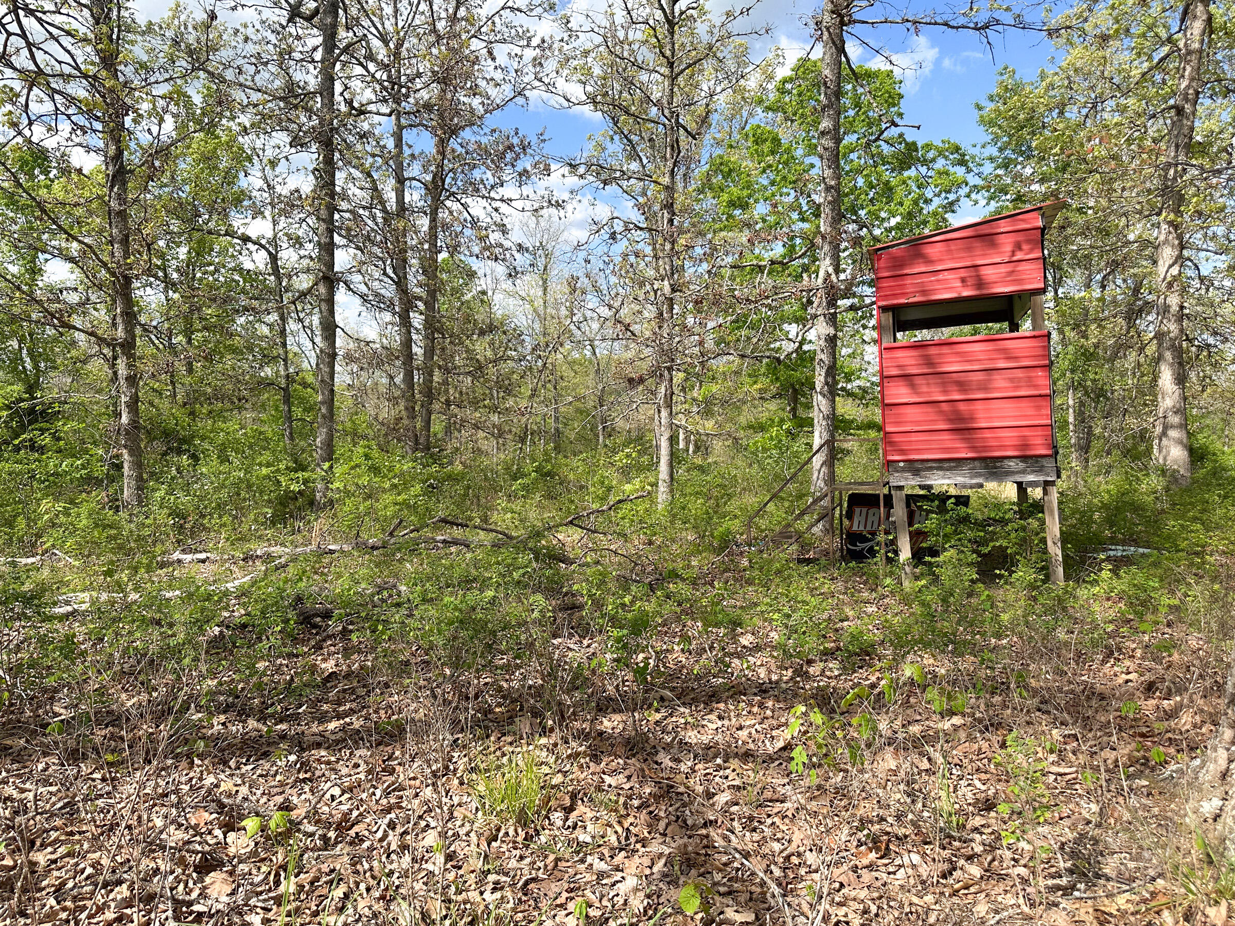 4420 State Route Dd Property Photo 61