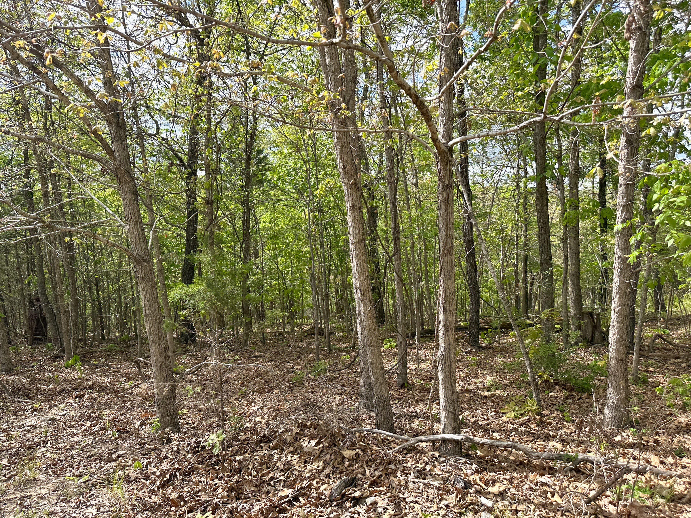 4420 State Route Dd Property Photo 62