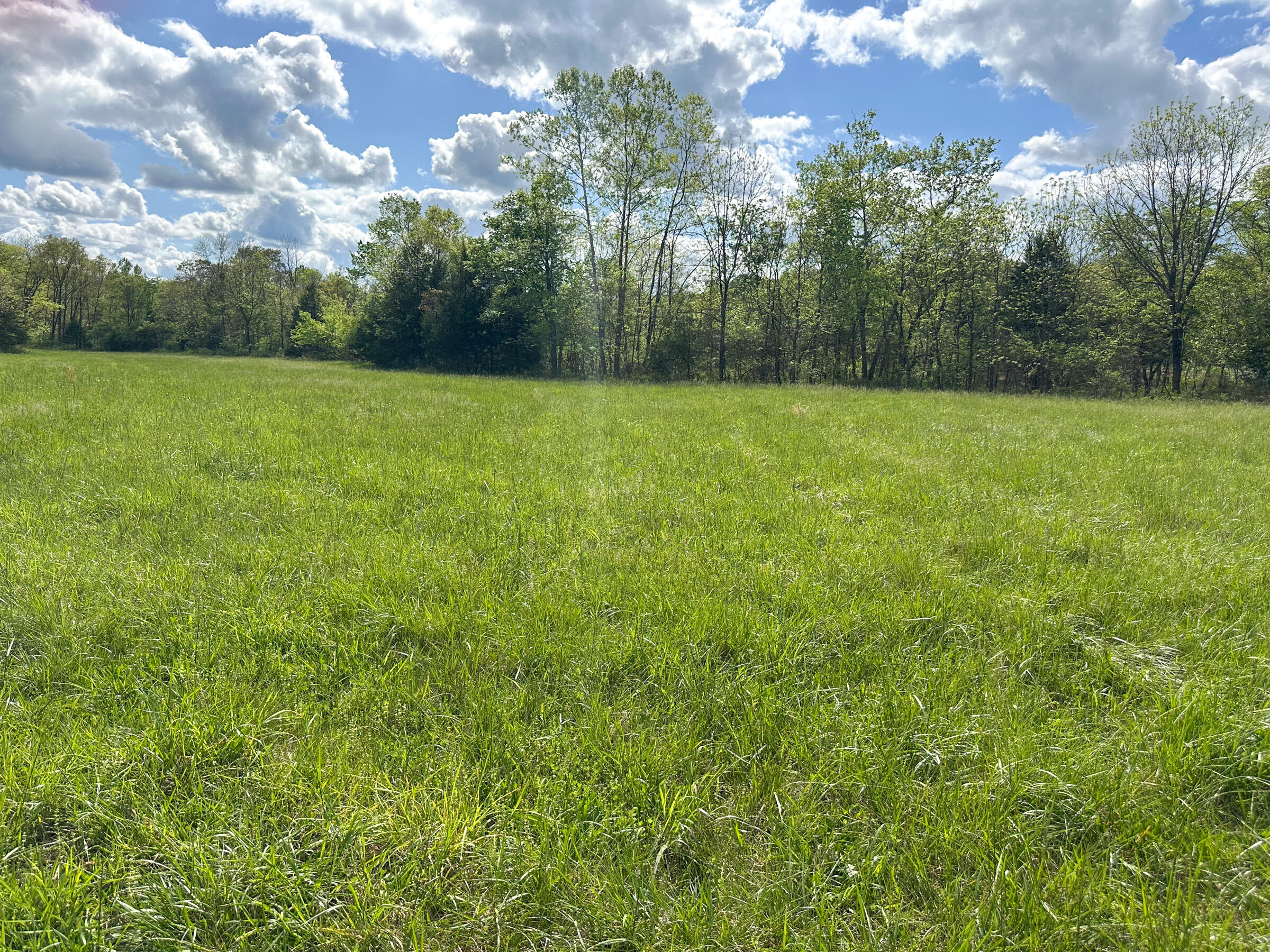 4420 State Route Dd Property Photo 64