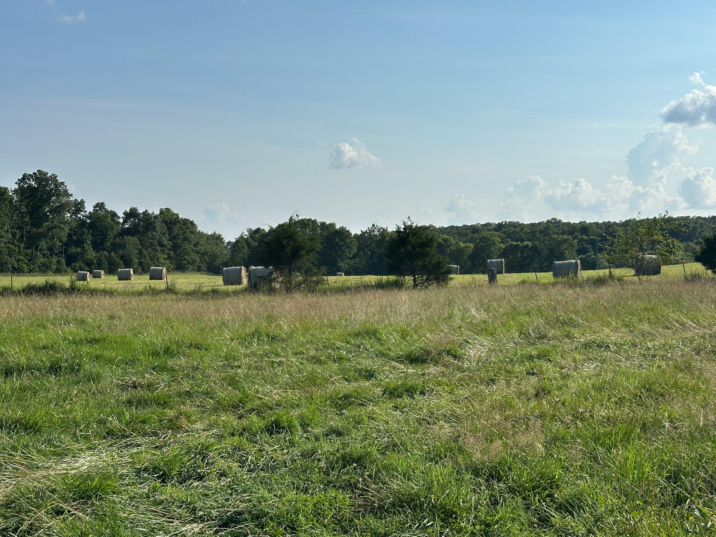 4420 State Route Dd Property Photo 65