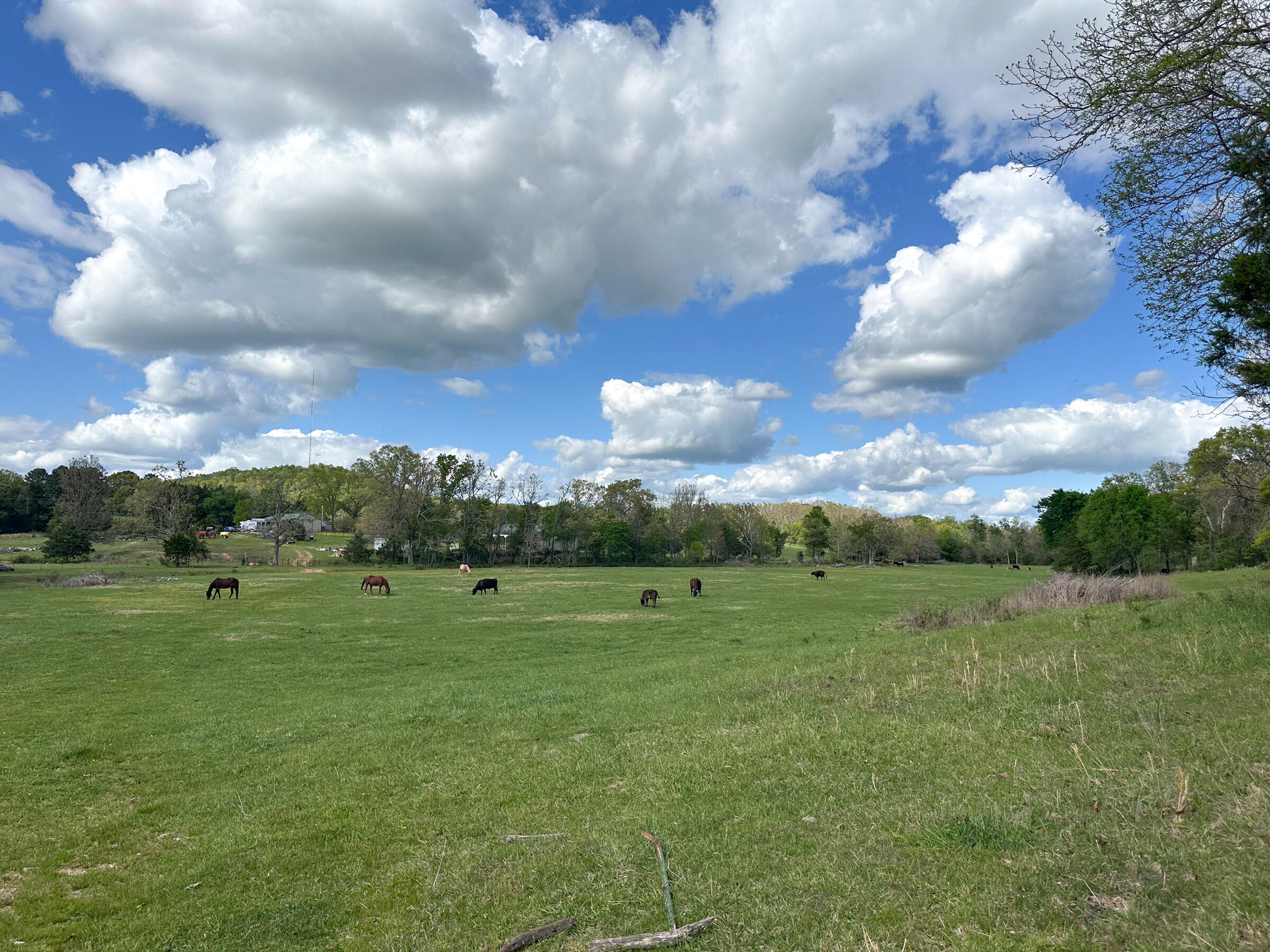 4420 State Route Dd Property Photo 69