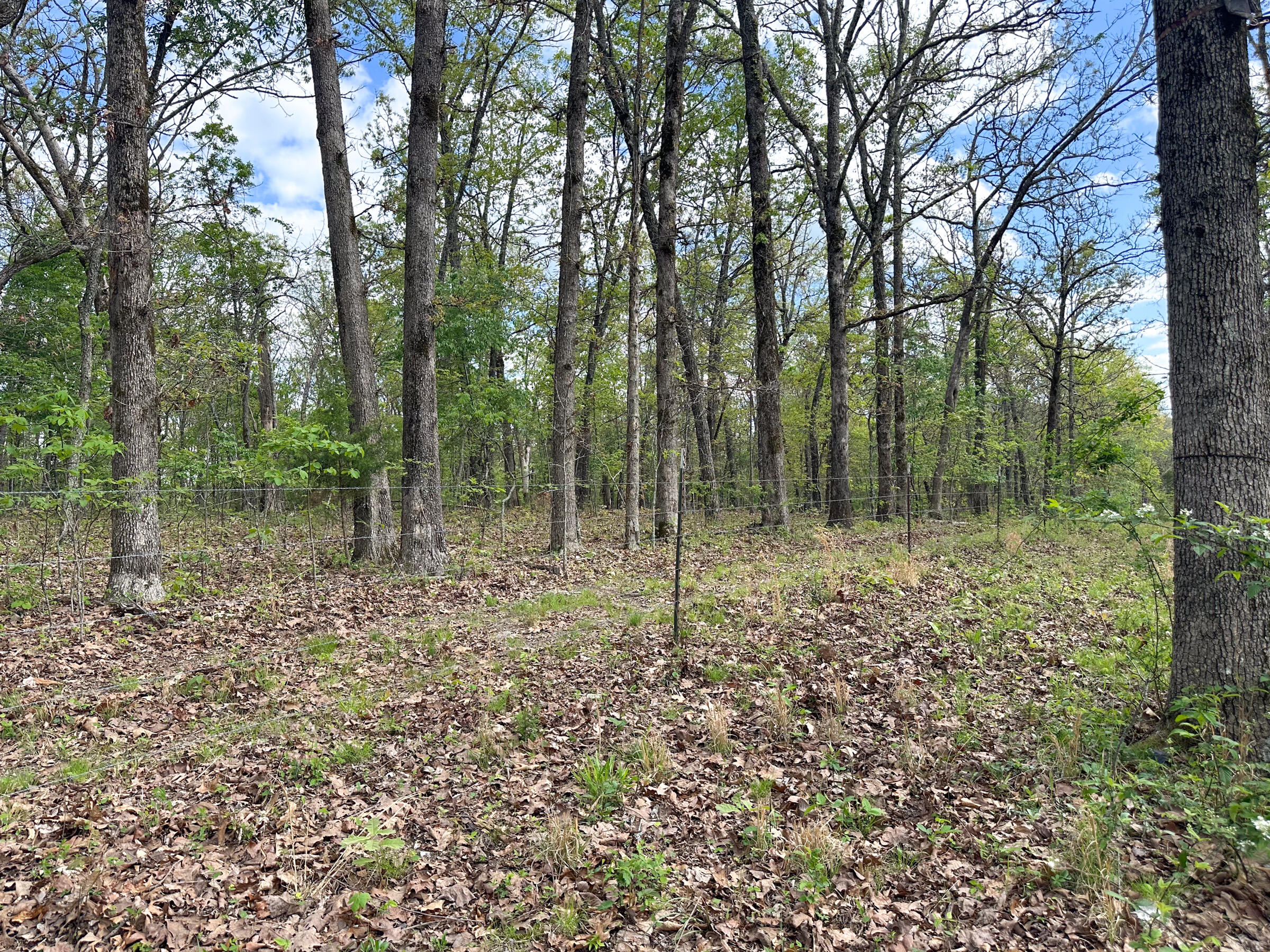 4420 State Route Dd Property Photo 70