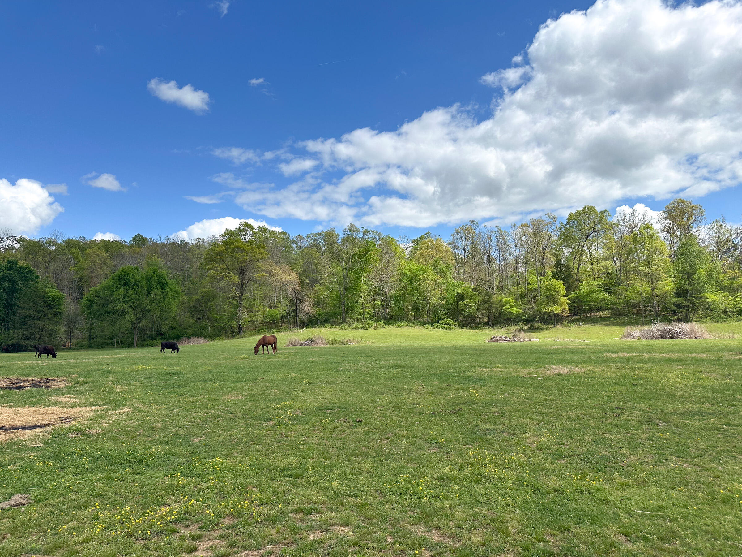 4420 State Route Dd Property Photo 72