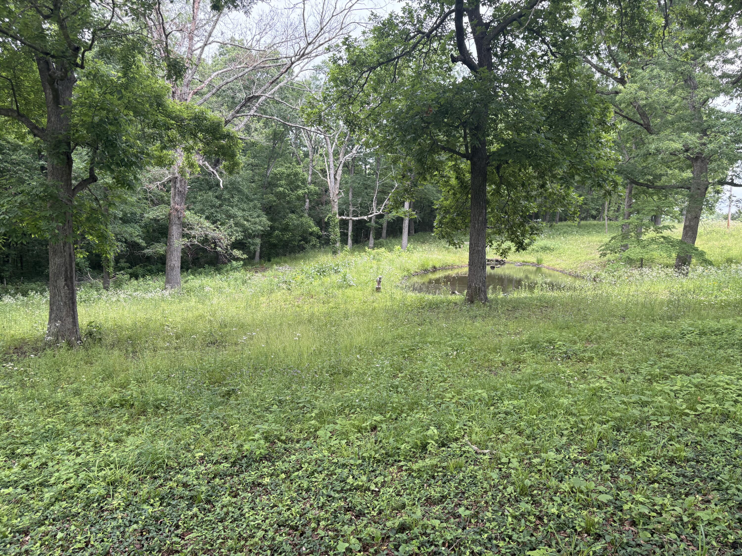7440 Highway 17 Property Photo 30
