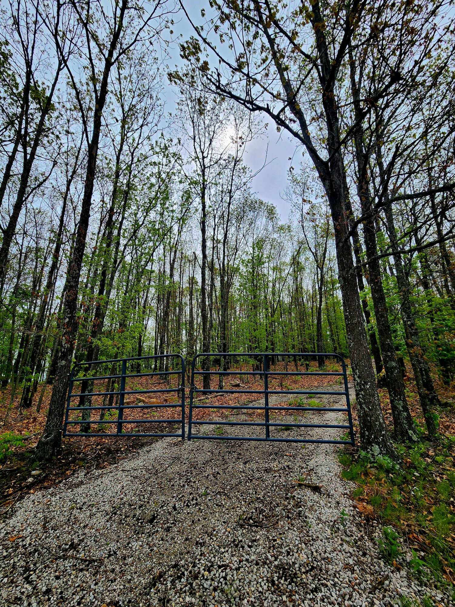 000 State Highway O Property Photo 1