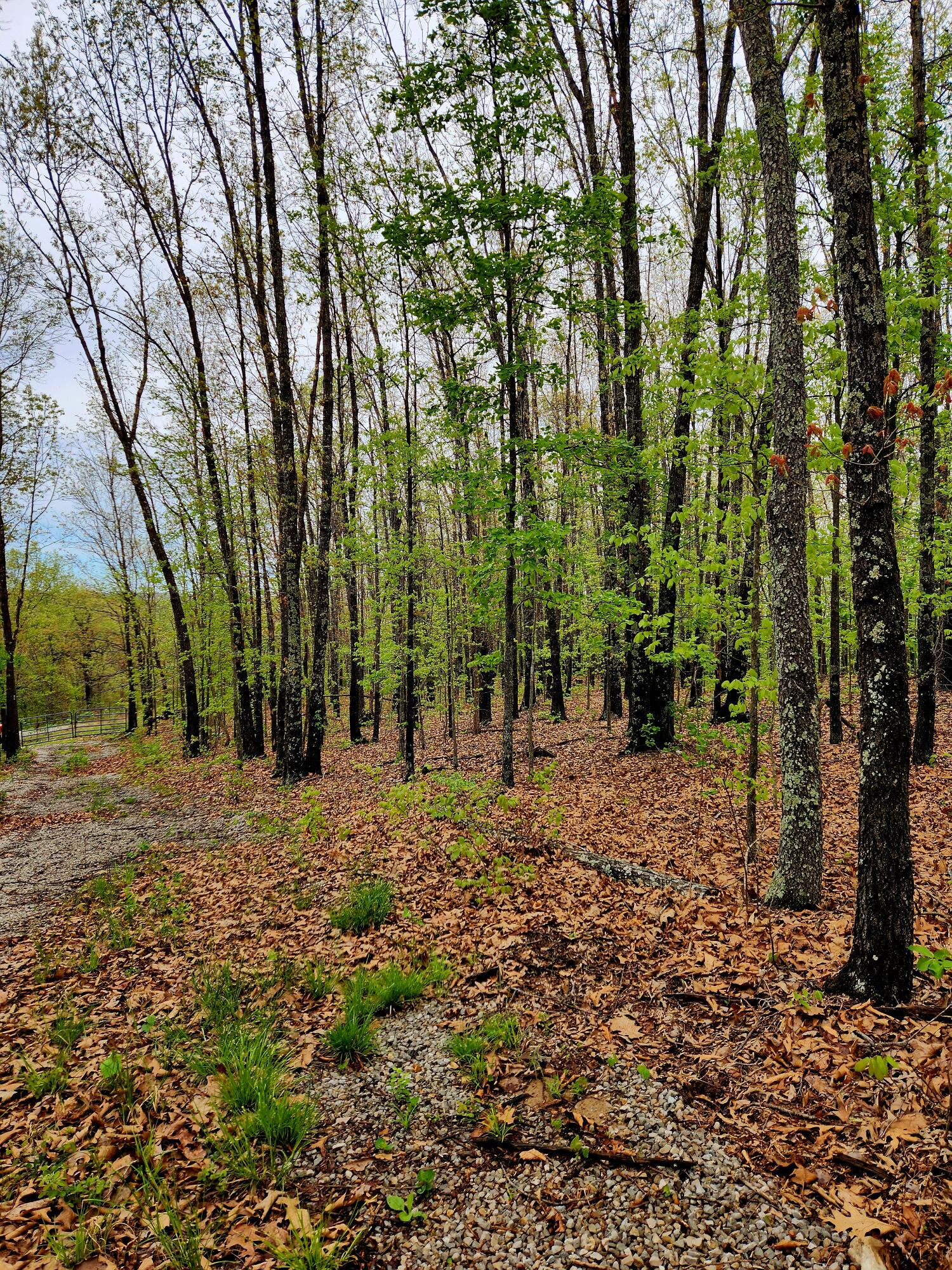 000 State Highway O Property Photo 3
