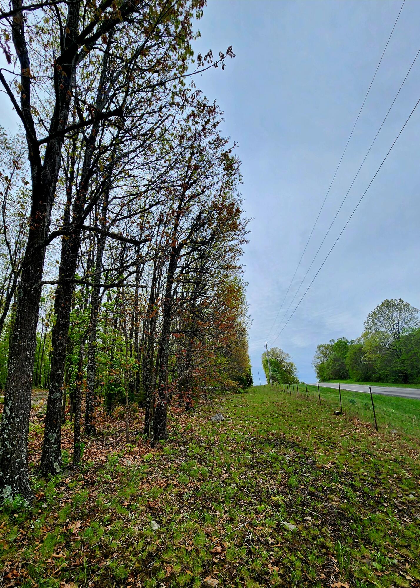 000 State Highway O Property Photo 5