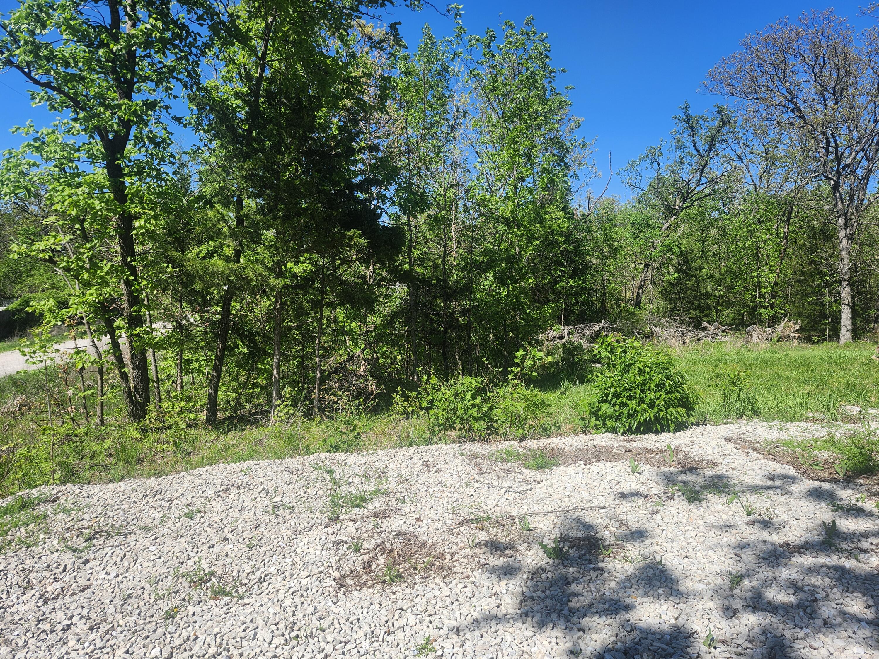 24803 County Road 294 Property Photo 5