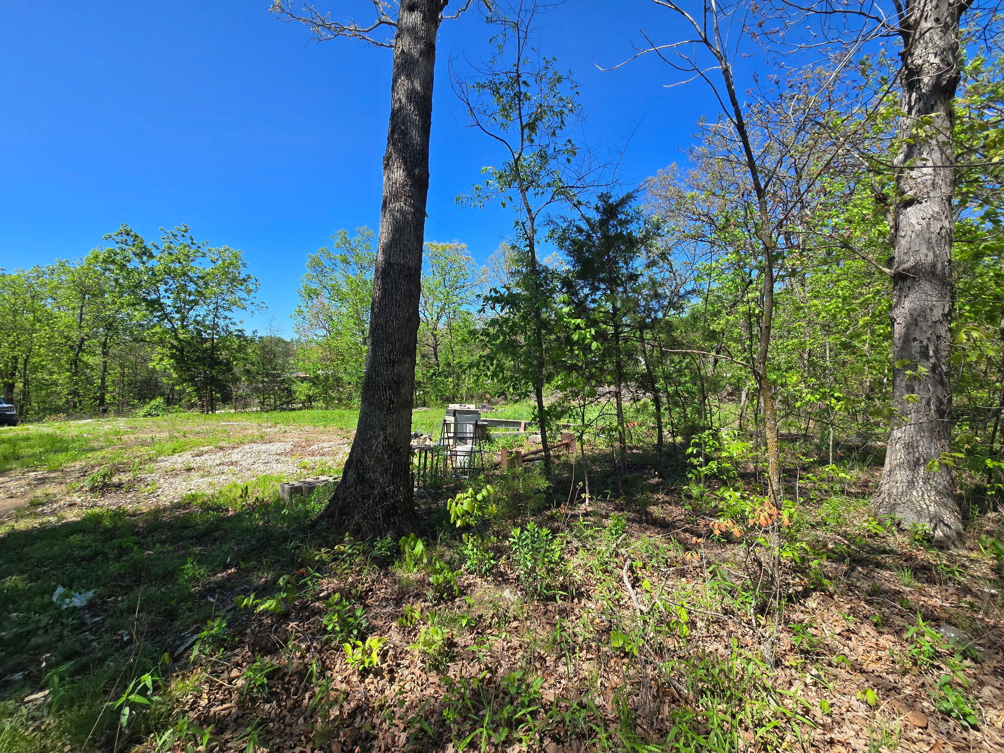 24803 County Road 294 Property Photo 8