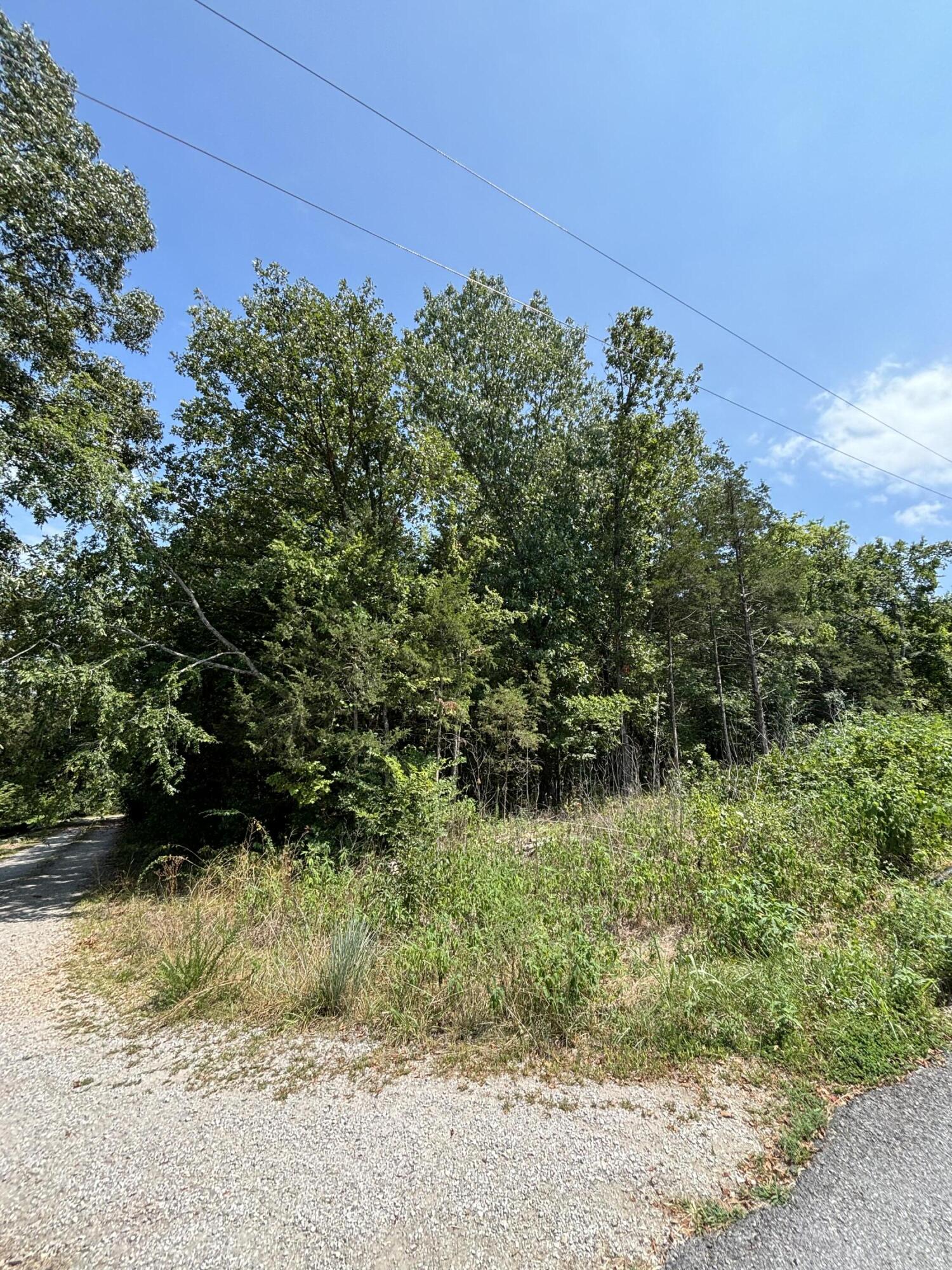 000 Berry Lane Property Photo 2