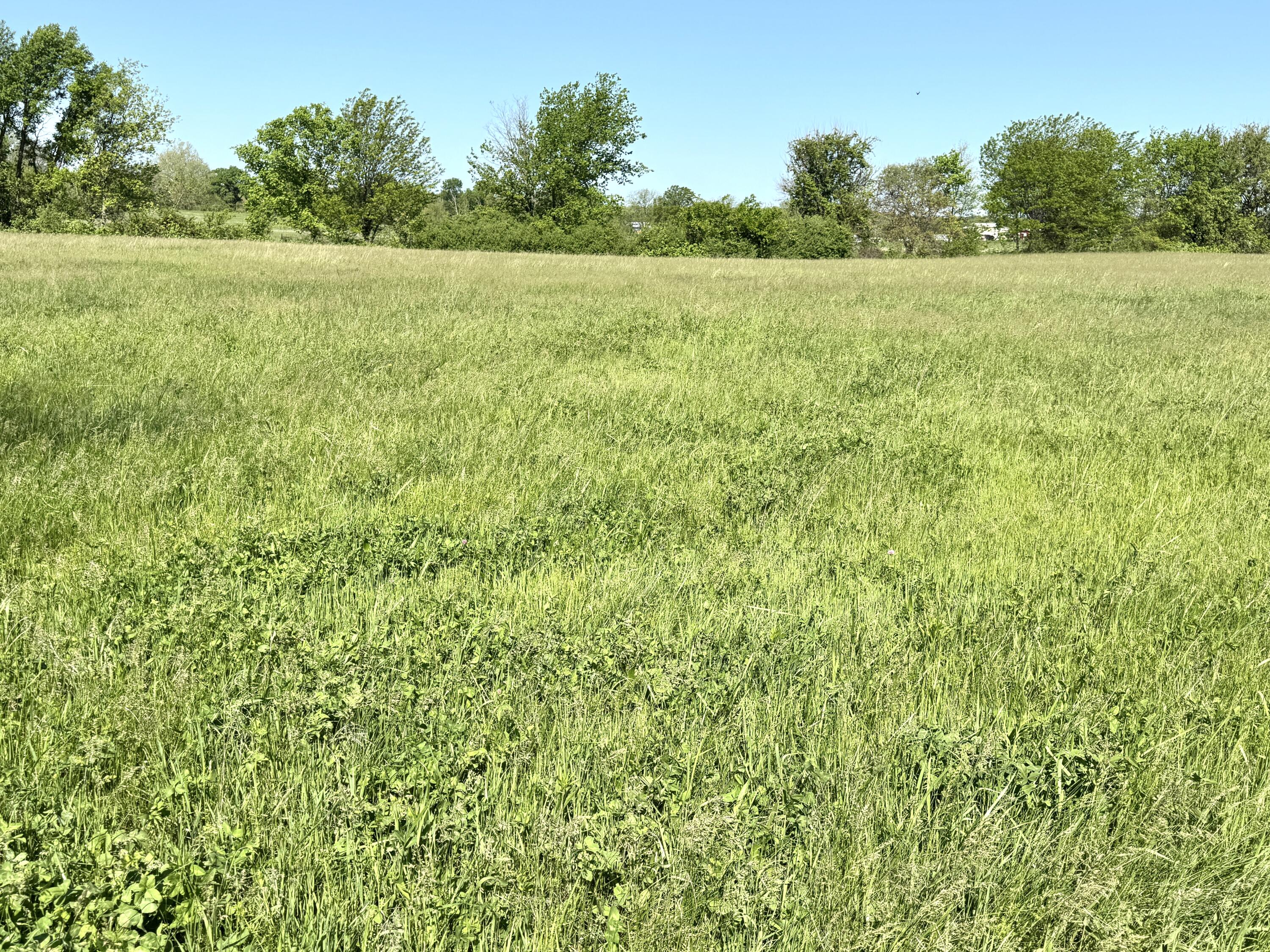 225 State Highway H Property Photo 45
