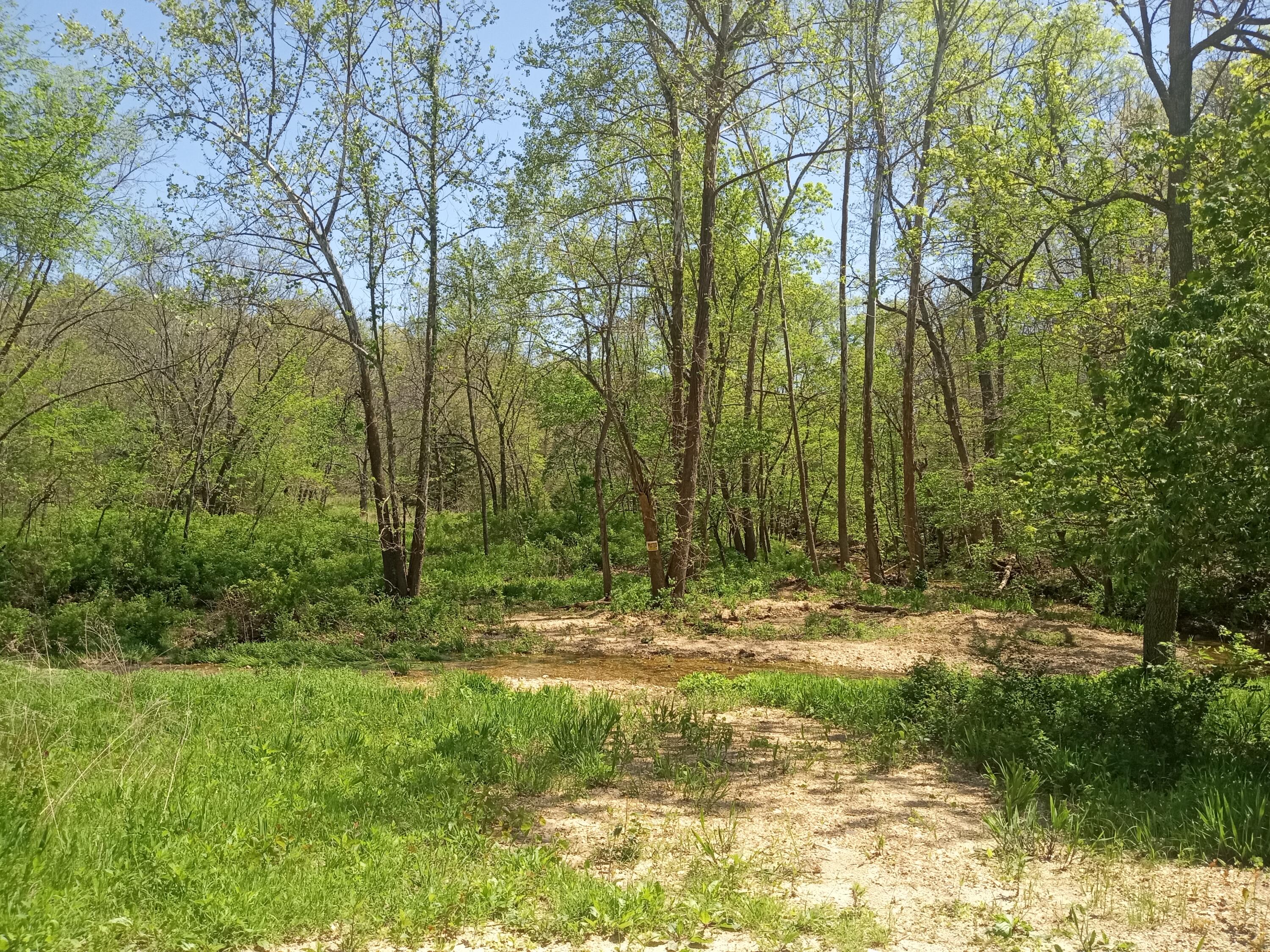 000 Timber Circle Property Photo 3
