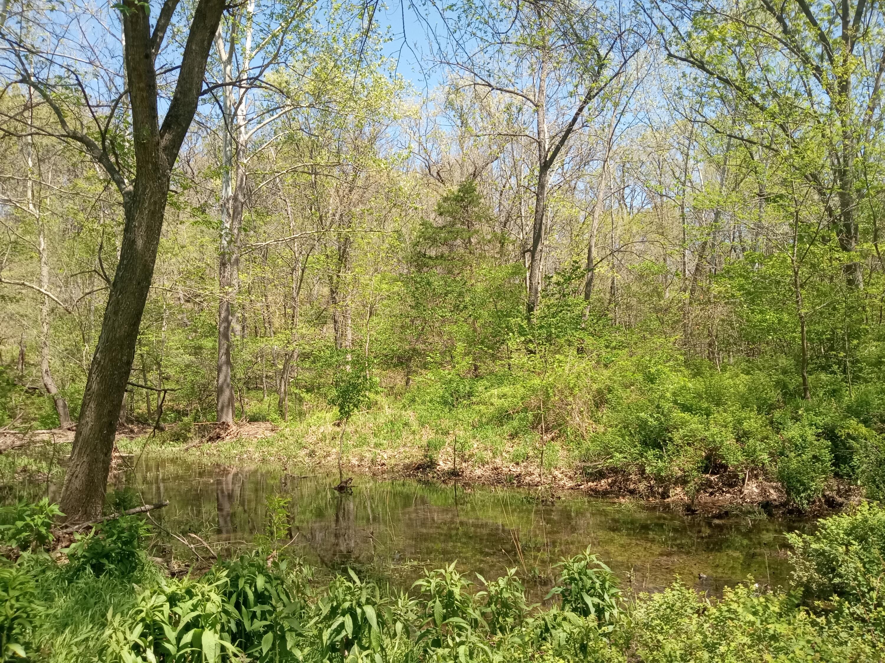 000 Timber Circle Property Photo 4