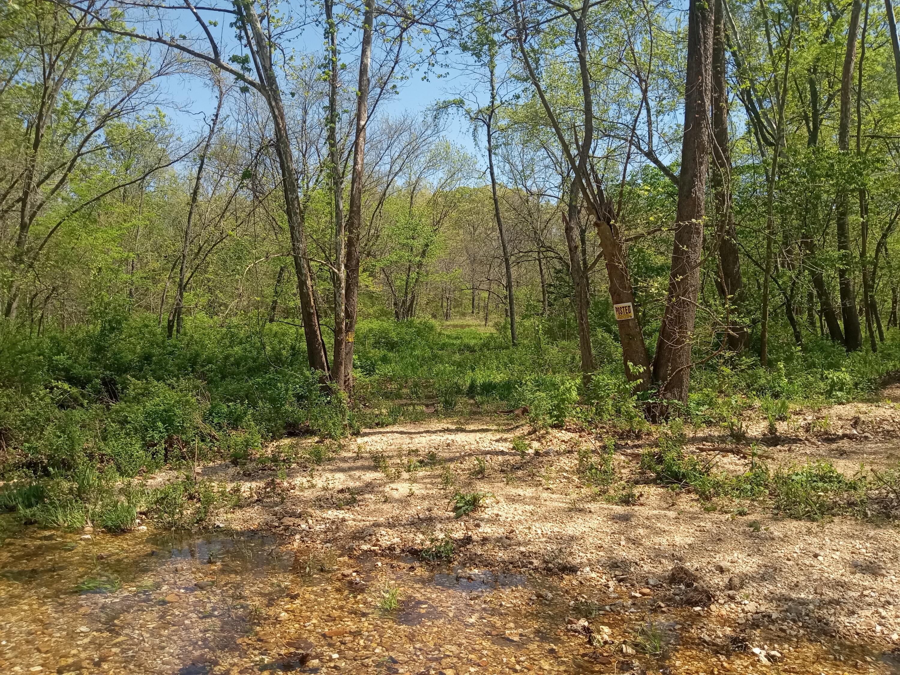 000 Timber Circle Property Photo 5