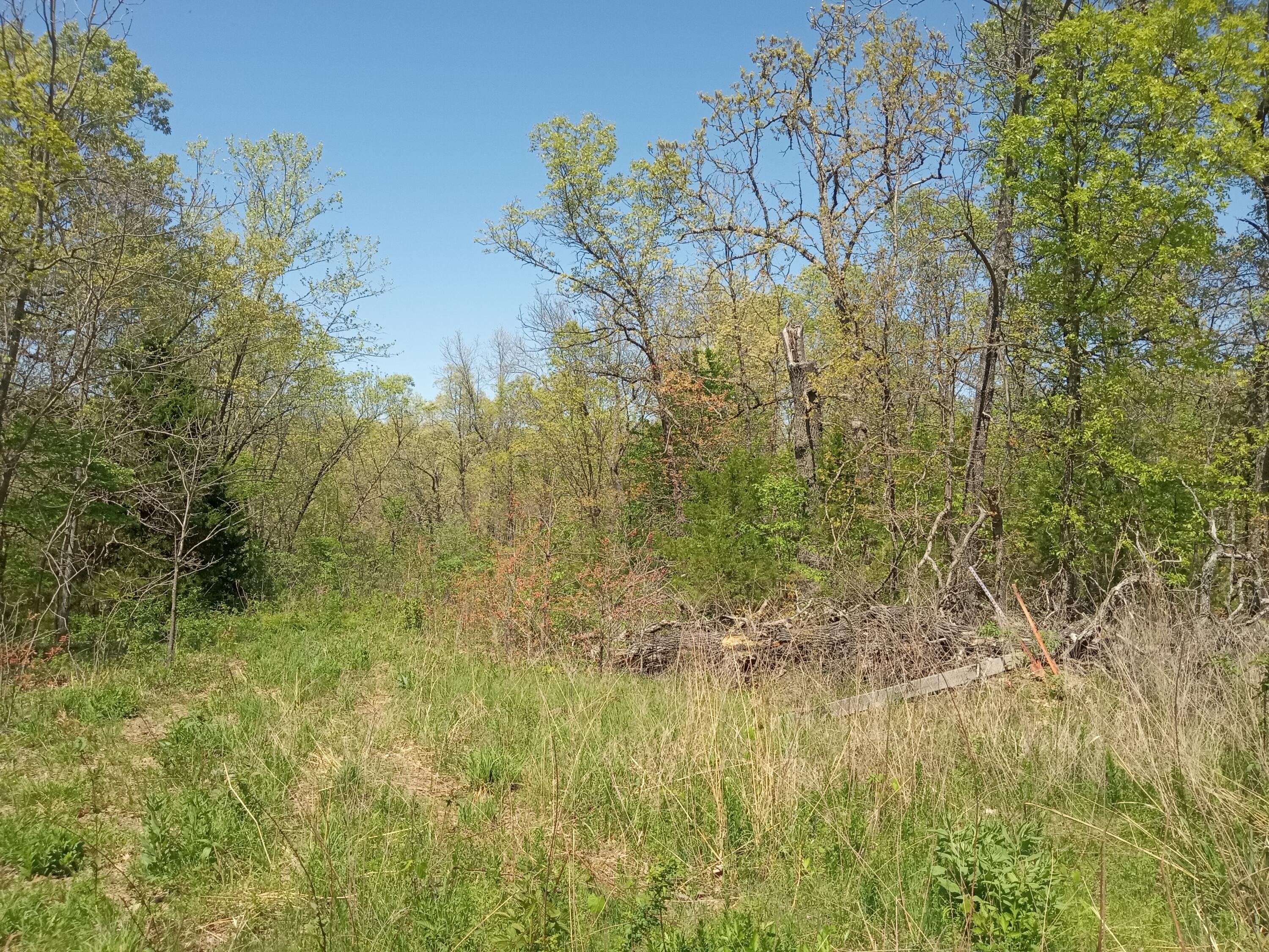 000 Timber Circle Property Photo 7
