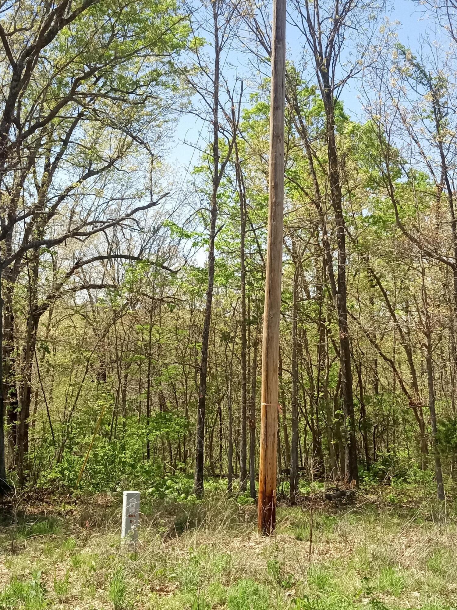 000 Timber Circle Property Photo 8