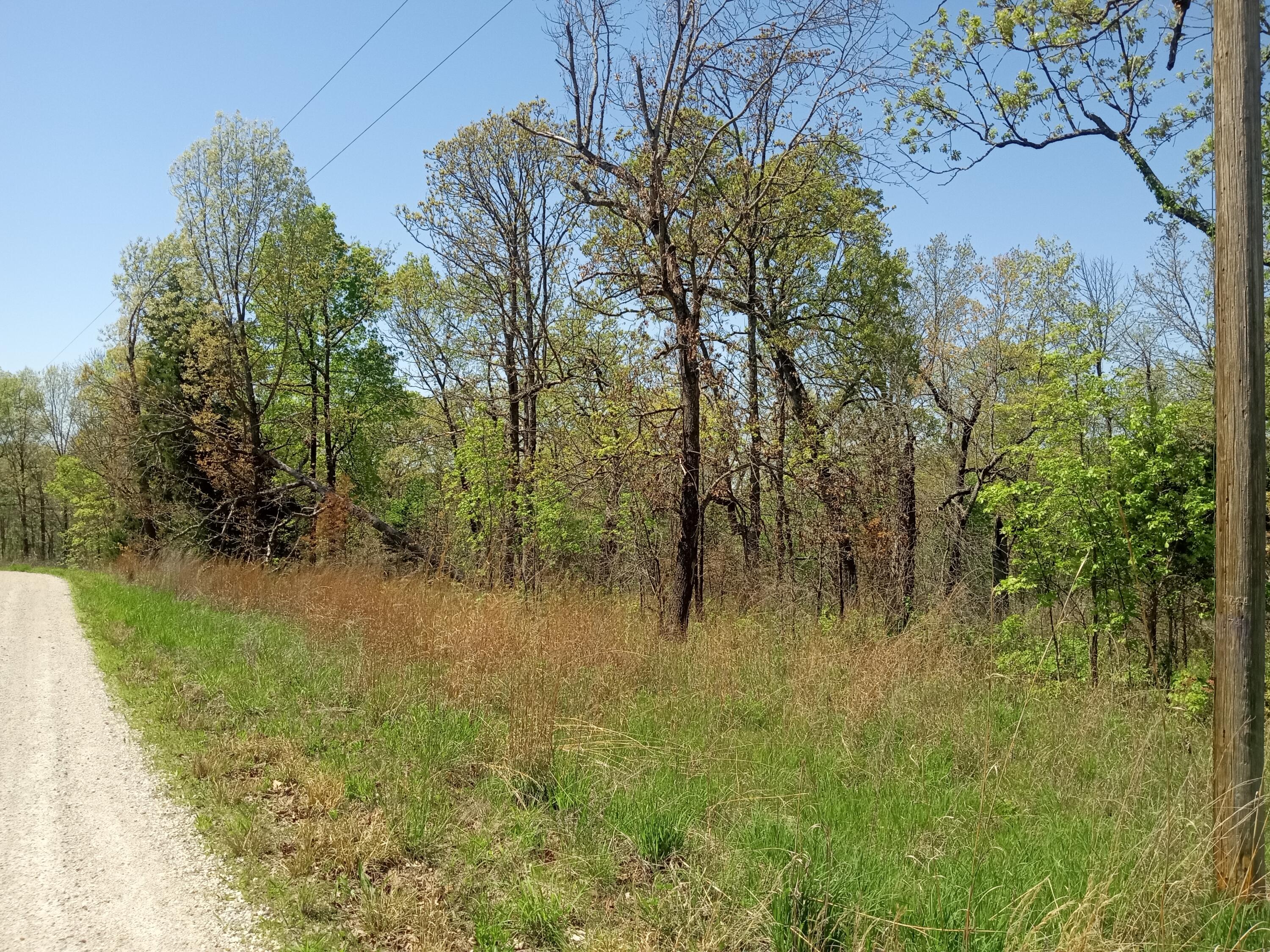 000 Timber Circle Property Photo 9