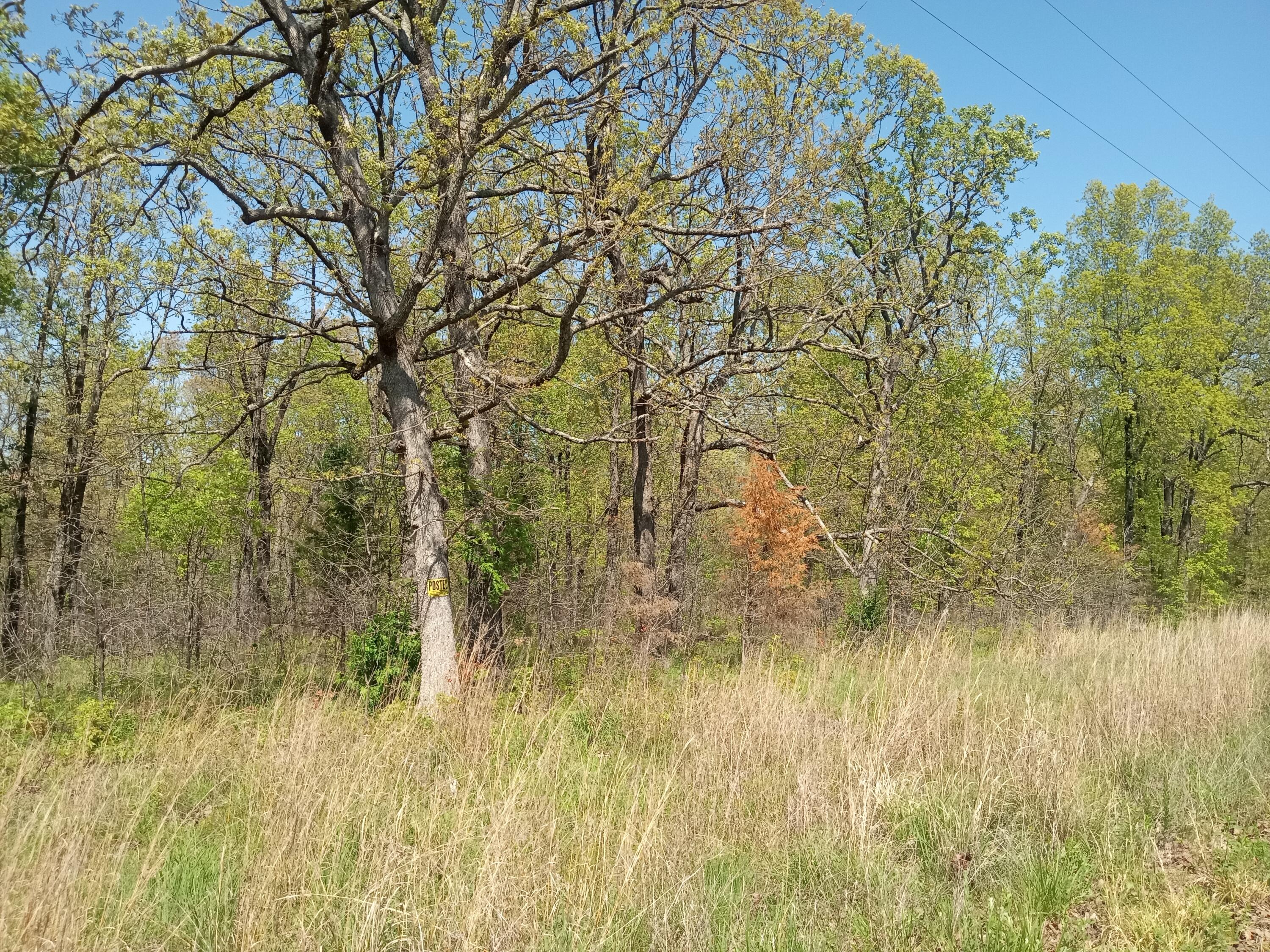 000 Timber Circle Property Photo 10