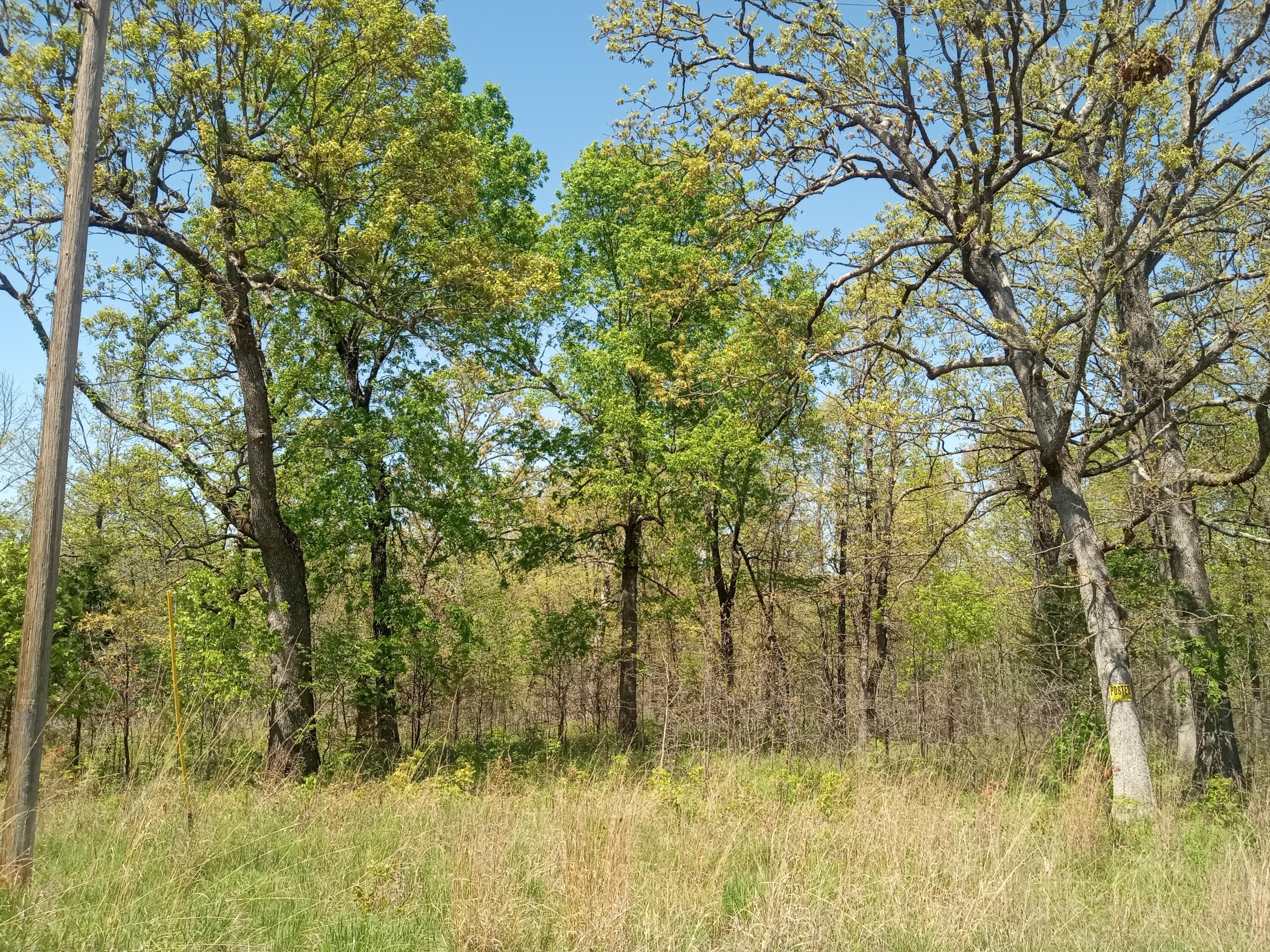 000 Timber Circle Property Photo 11