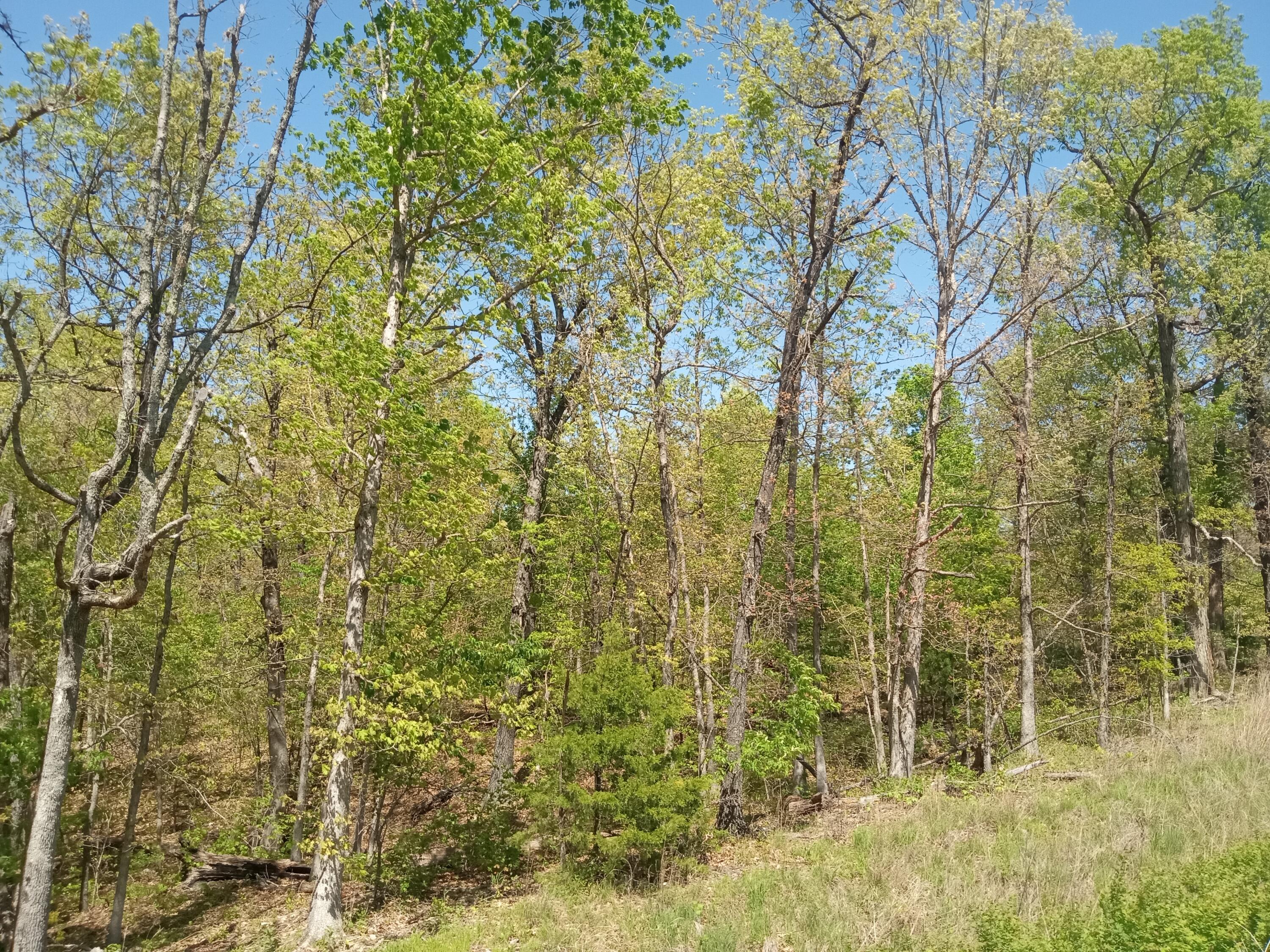 000 Timber Circle Property Photo 12