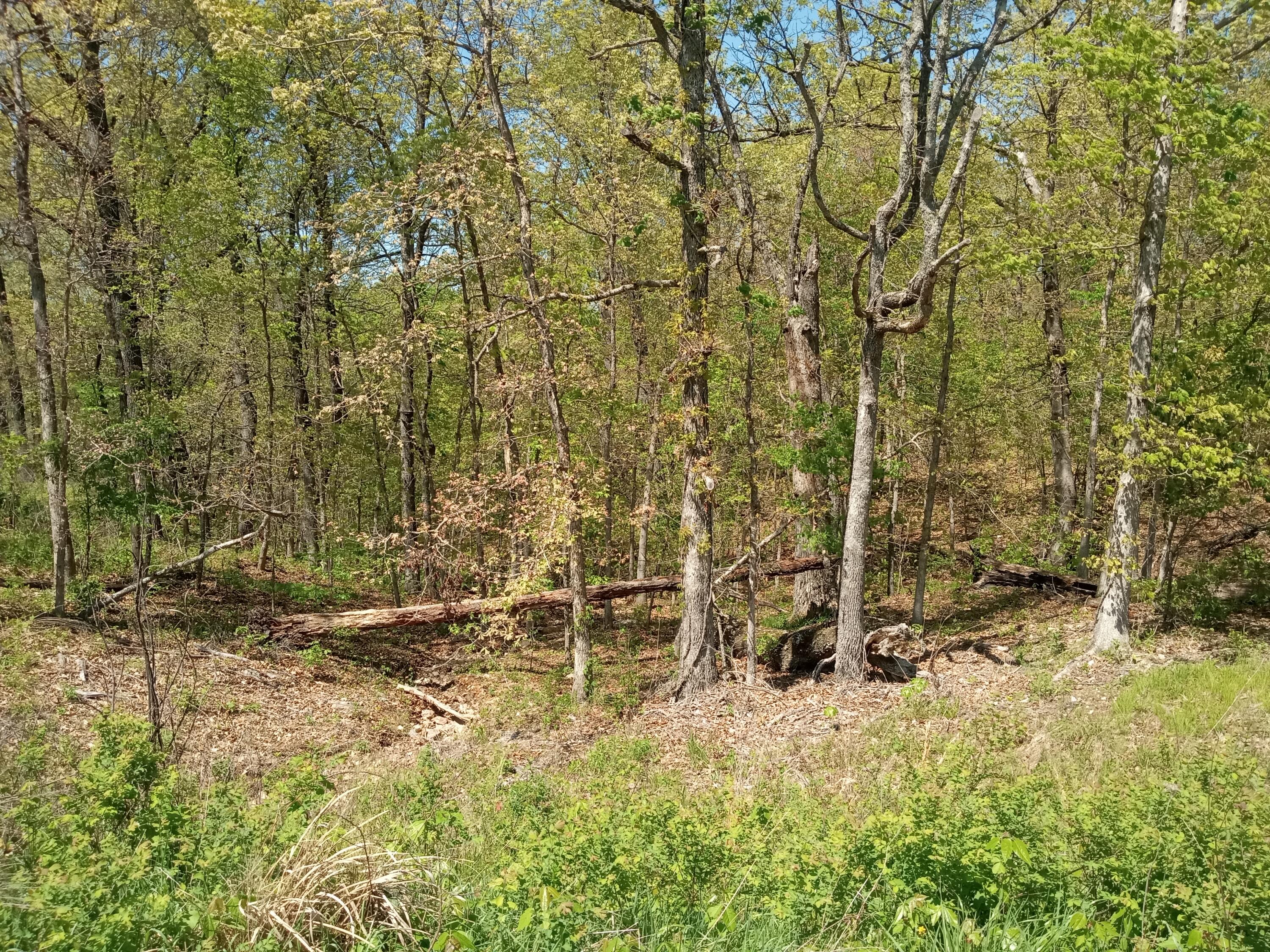 000 Timber Circle Property Photo 13