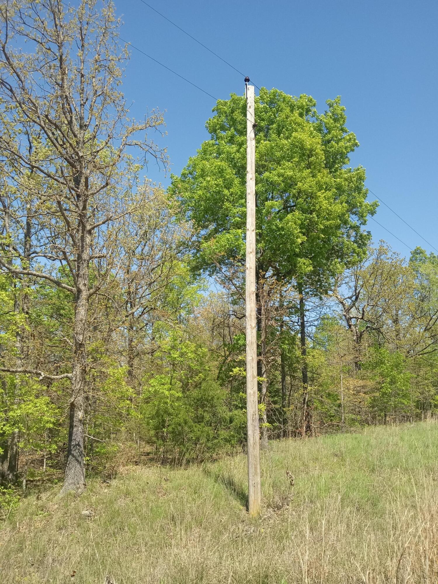 000 Timber Circle Property Photo 15