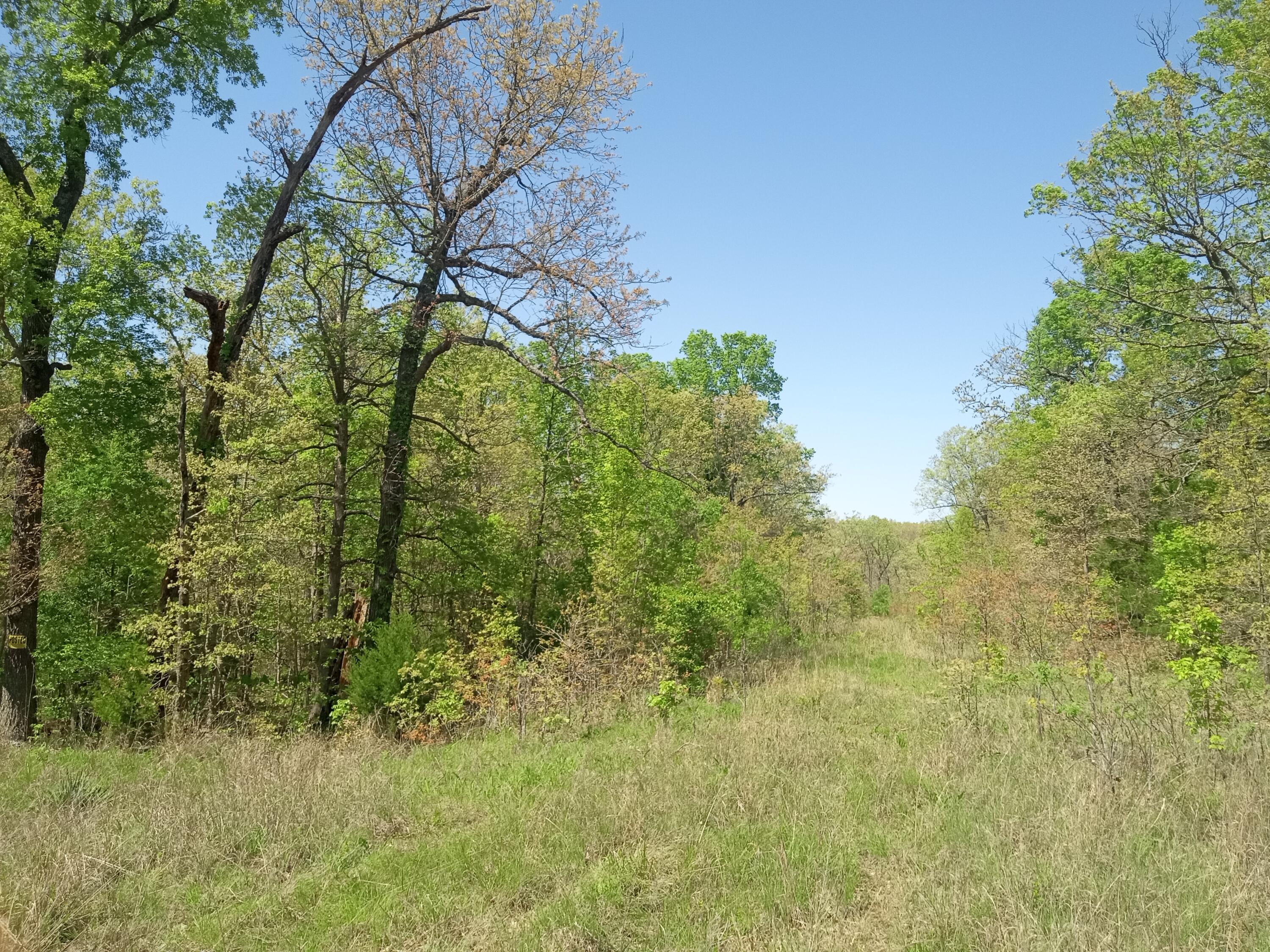 000 Timber Circle Property Photo 17