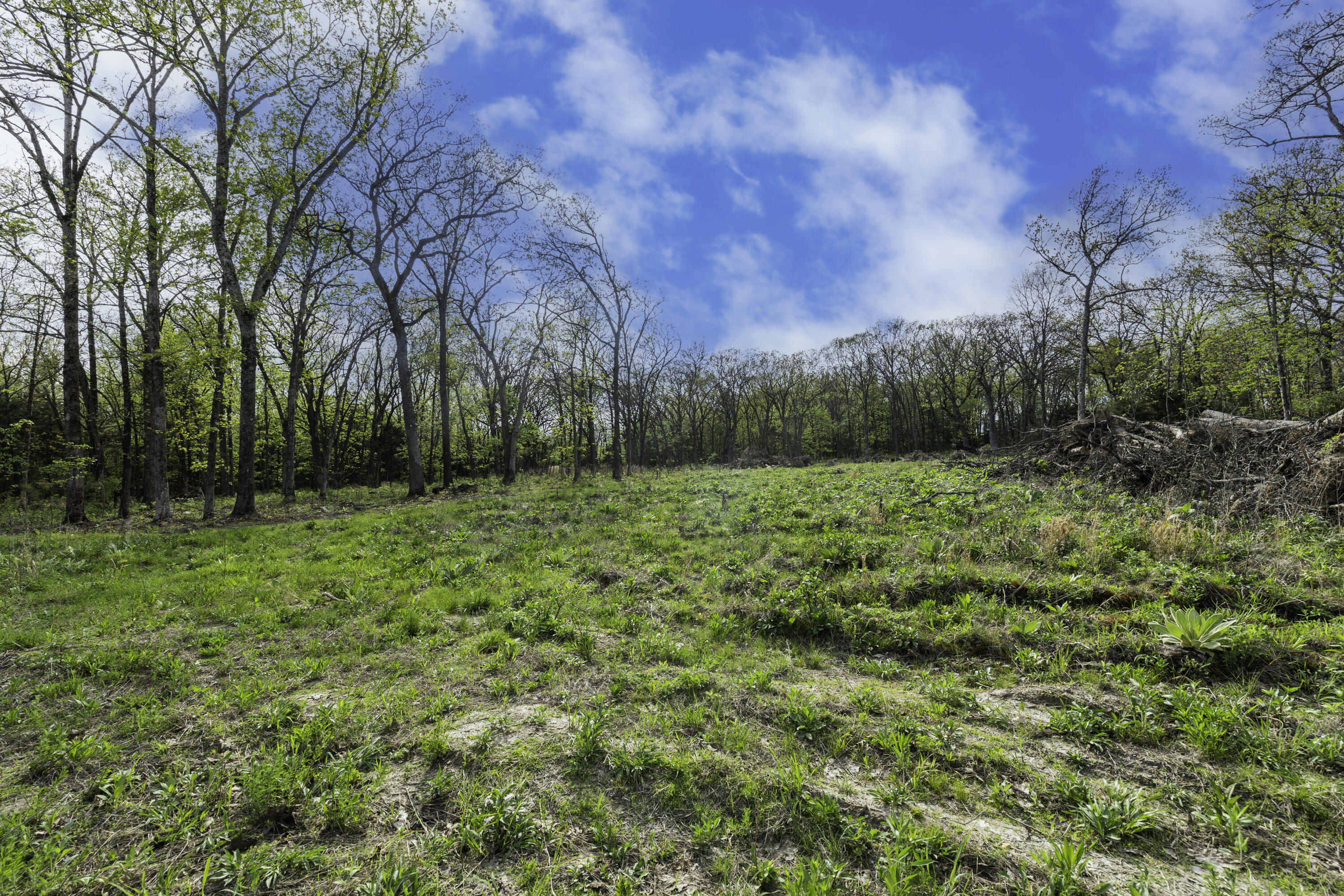 000 County Road 238 Property Photo 2