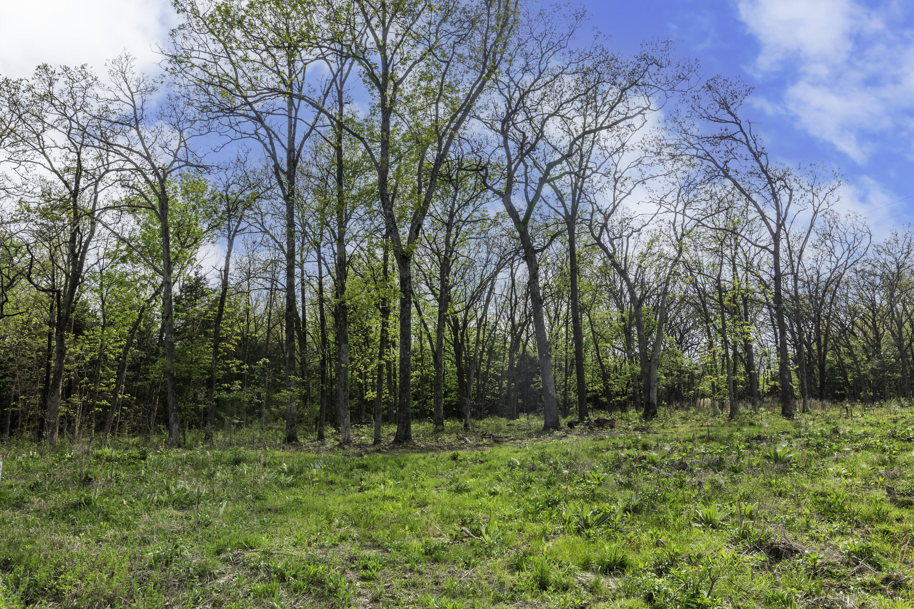 000 County Road 238 Property Photo 6