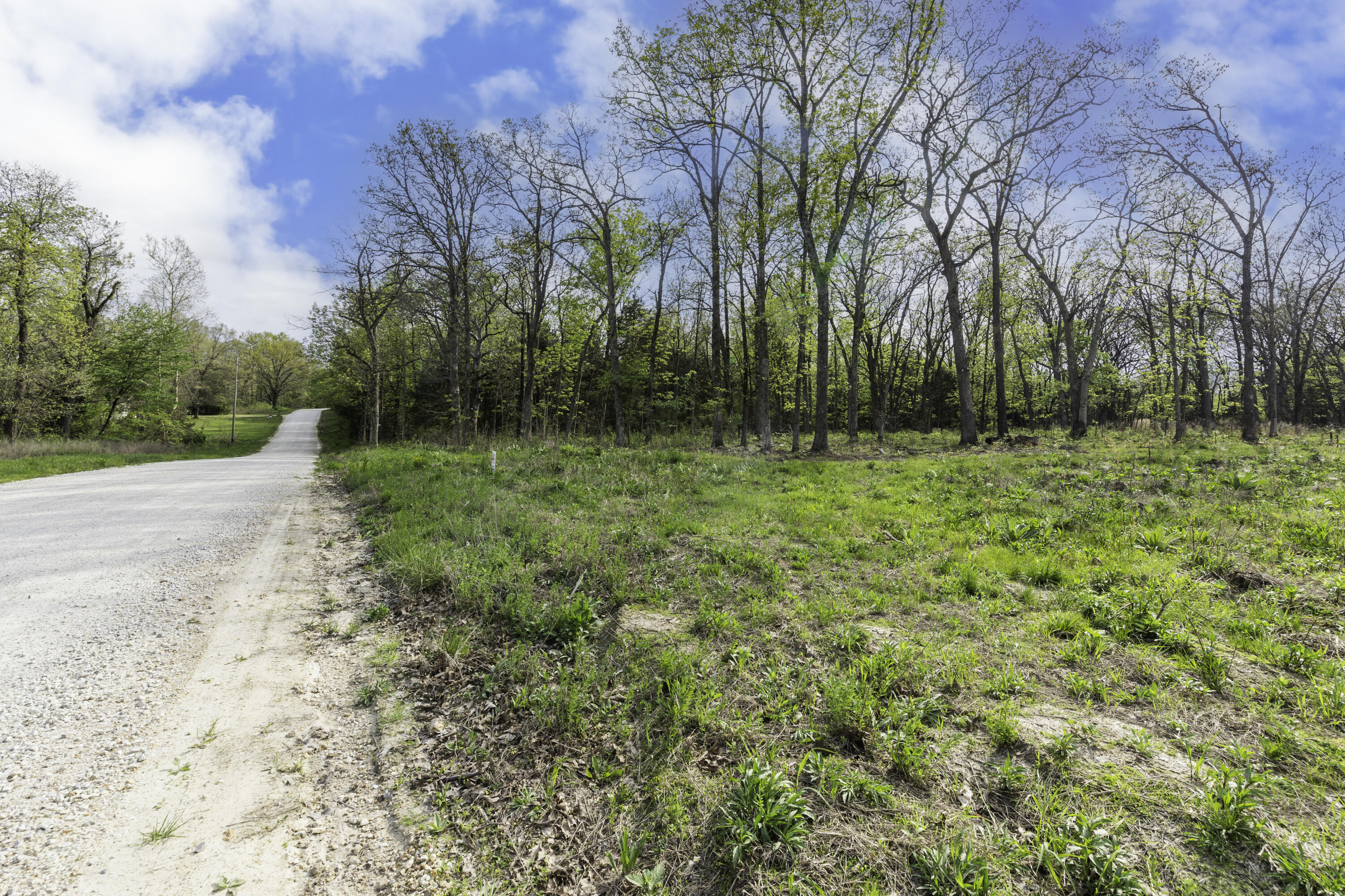 000 County Road 238 Property Photo 8