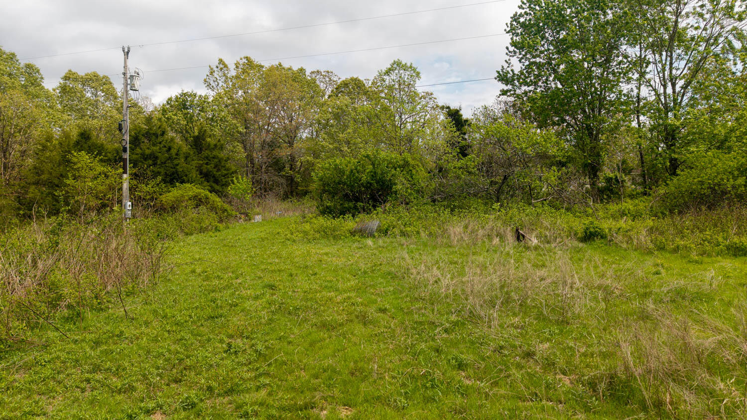 493 County Road 151 Property Photo 11