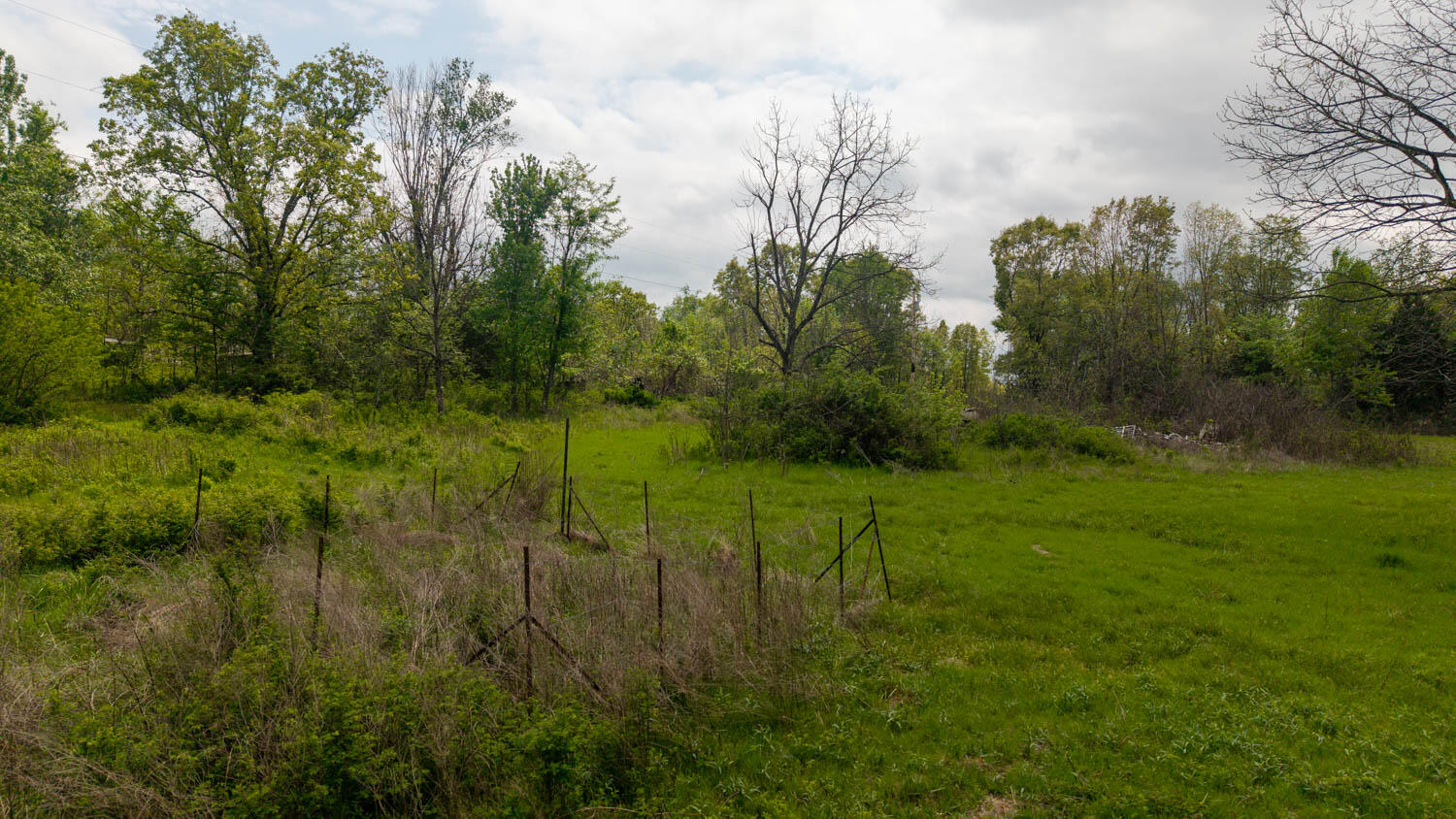 493 County Road 151 Property Photo 12