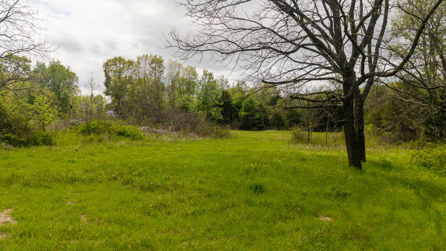 493 County Road 151 Property Photo 14
