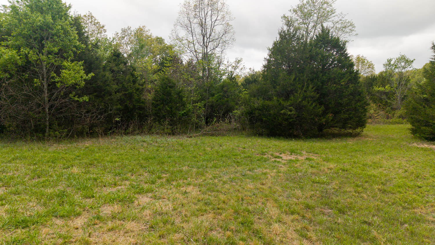 493 County Road 151 Property Photo 15