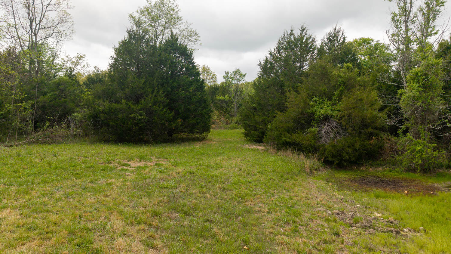 493 County Road 151 Property Photo 16