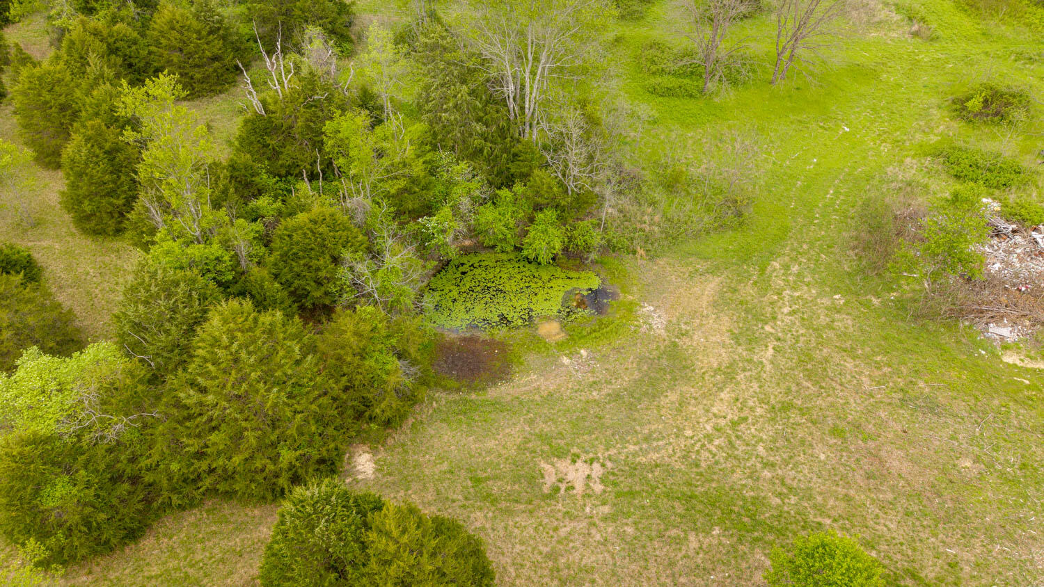 493 County Road 151 Property Photo 18