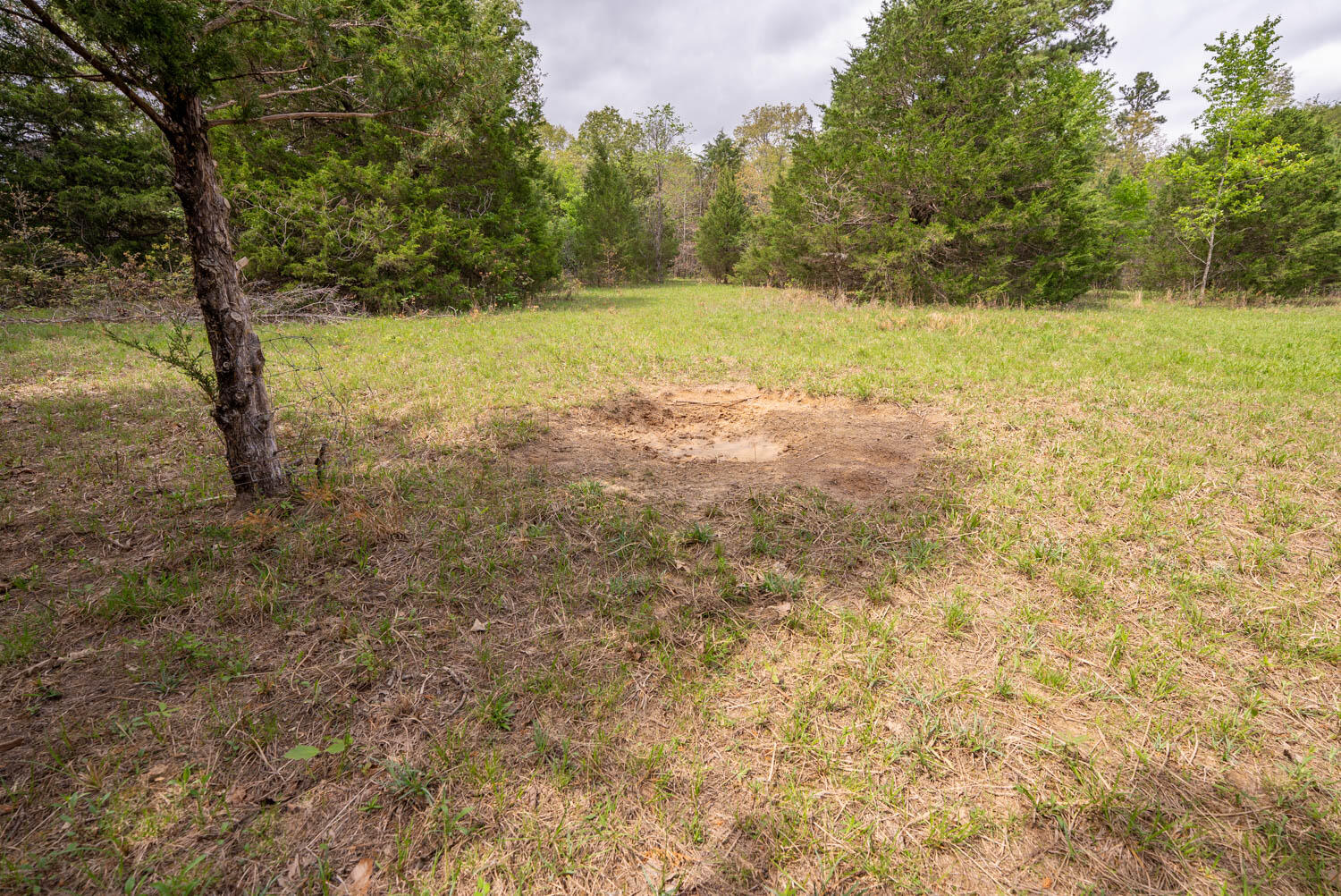 493 County Road 151 Property Photo 26