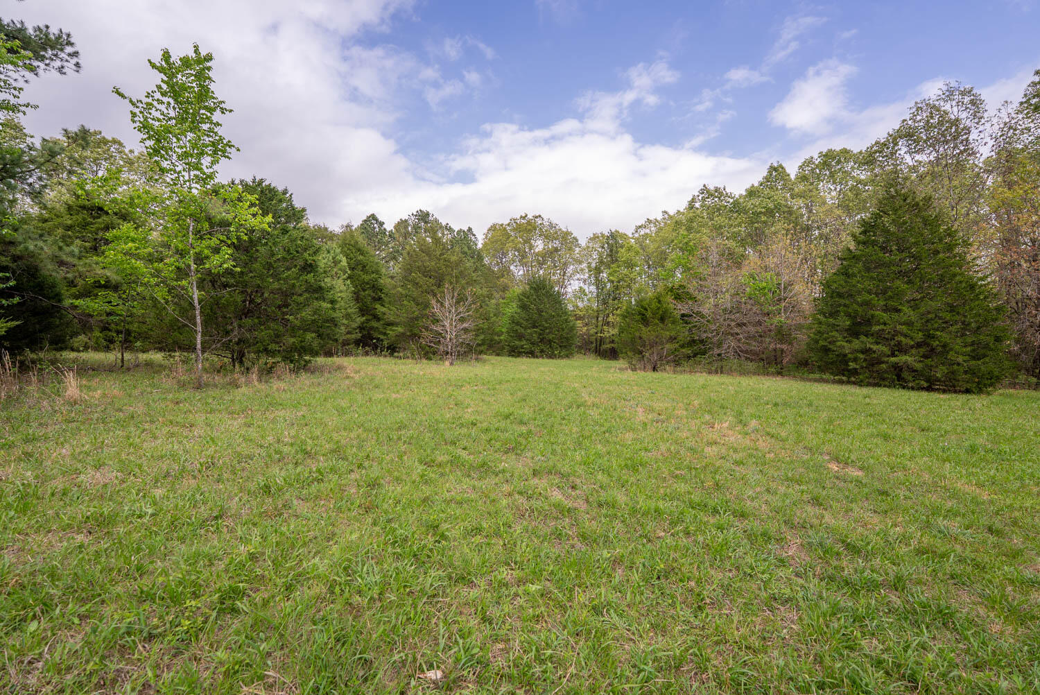 493 County Road 151 Property Photo 27