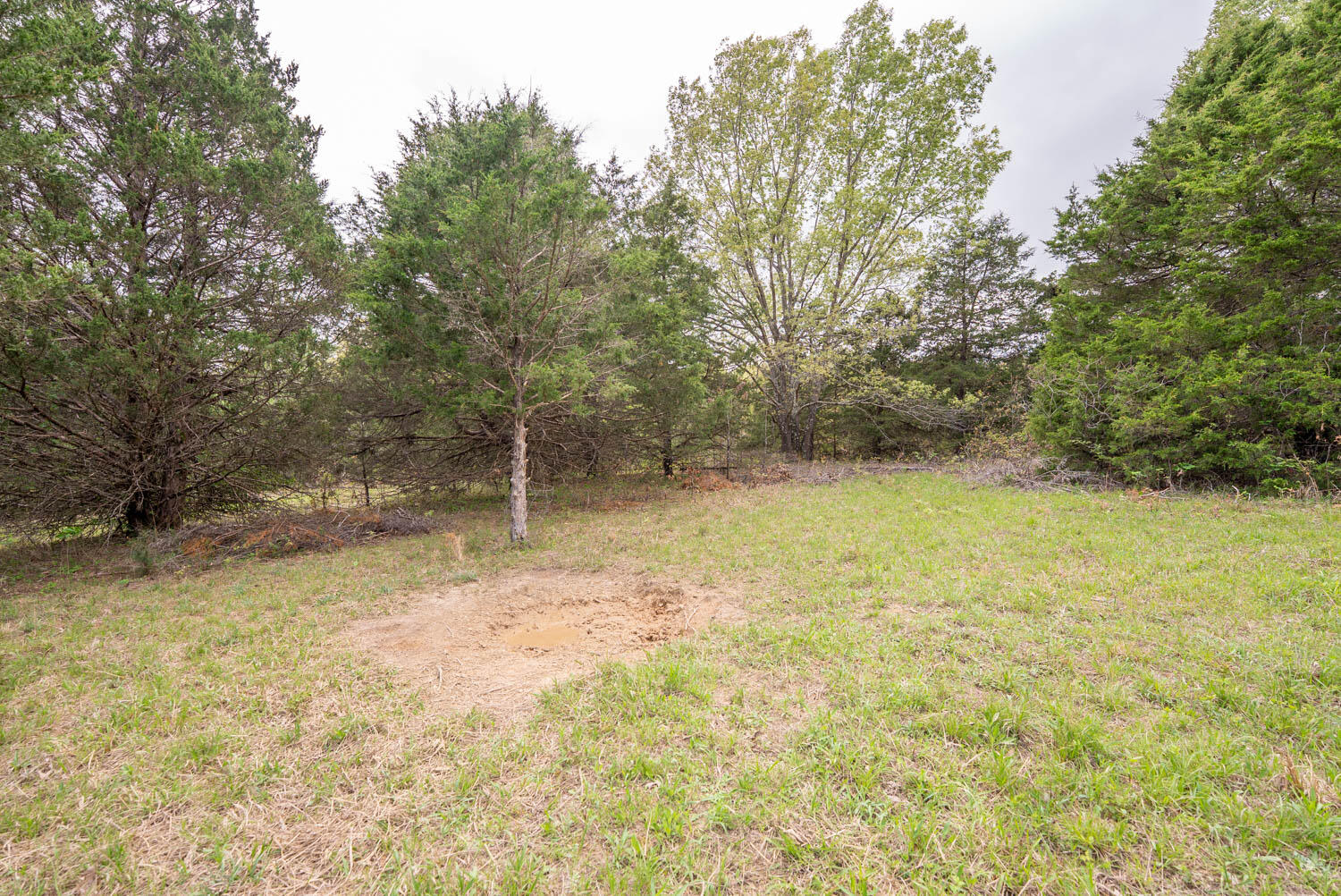 493 County Road 151 Property Photo 28