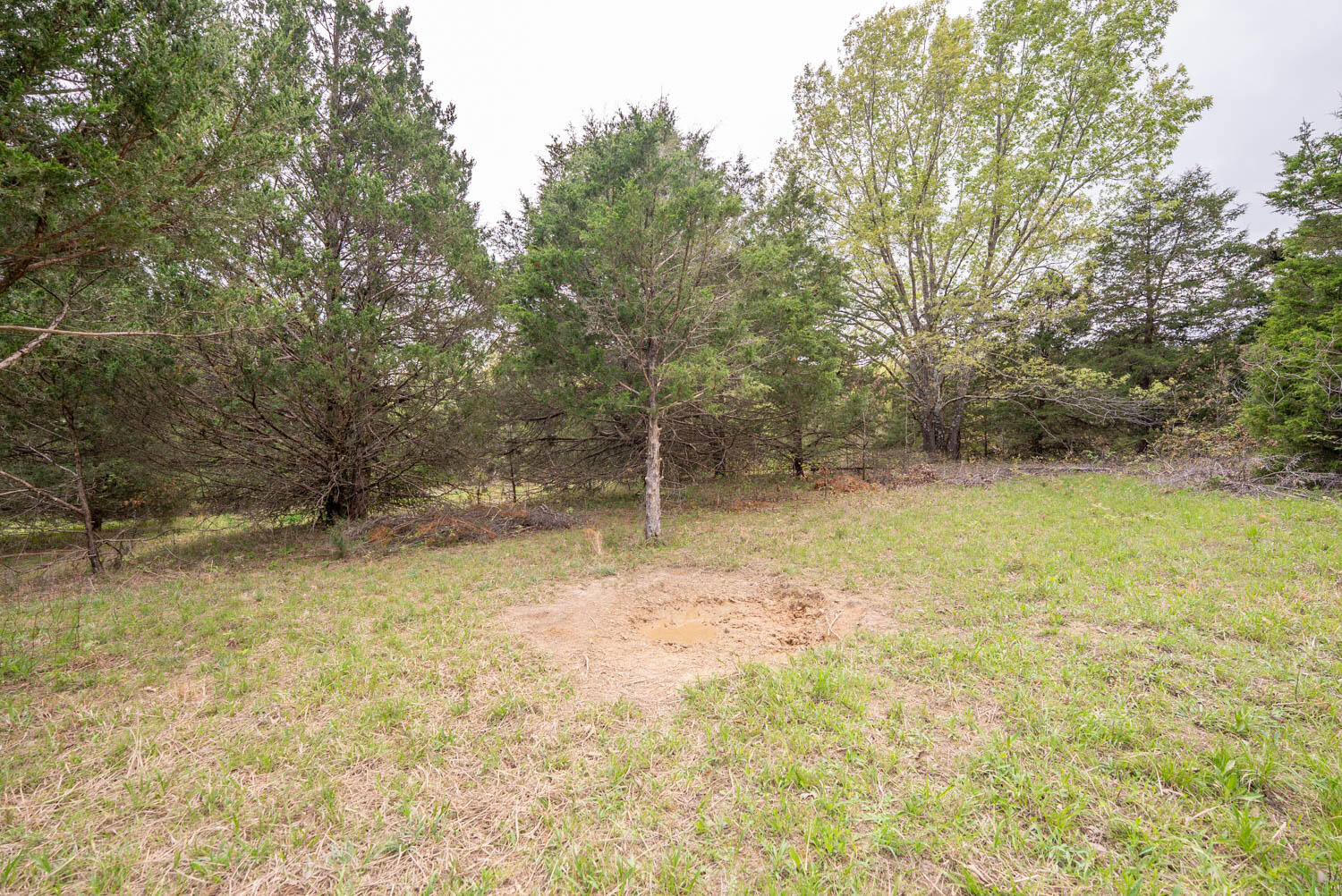 493 County Road 151 Property Photo 29