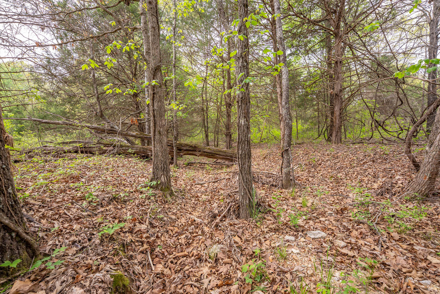 493 County Road 151 Property Photo 30