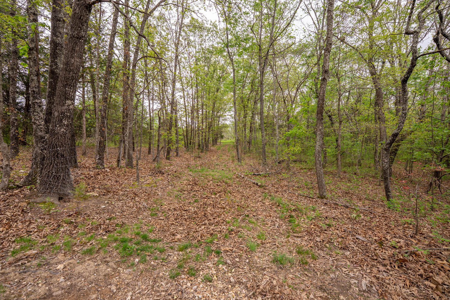 493 County Road 151 Property Photo 33