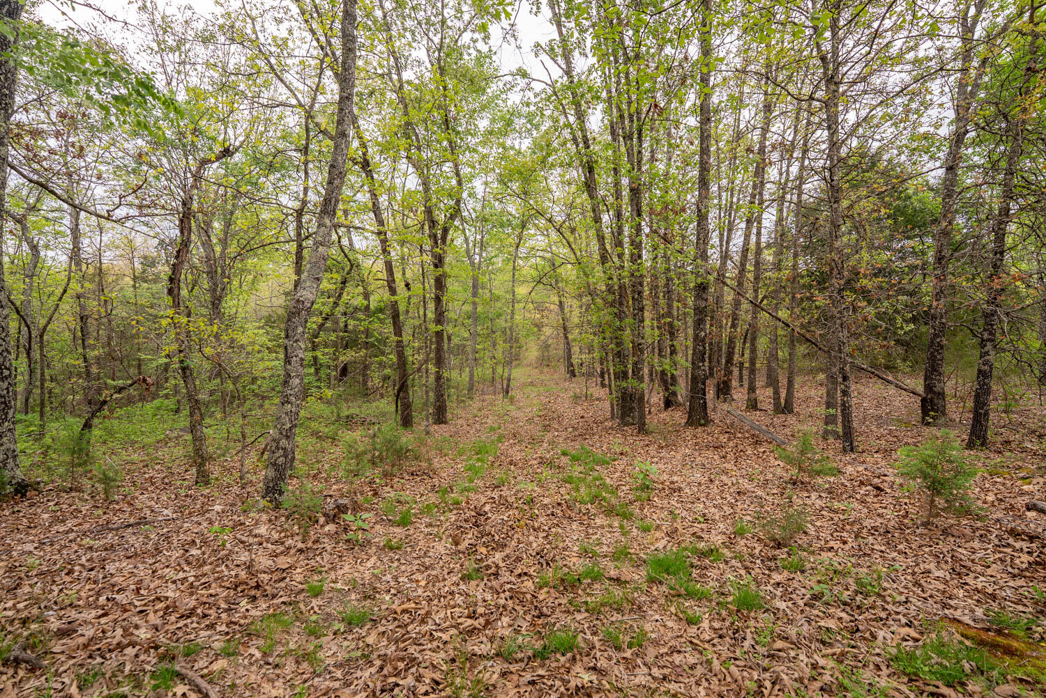 493 County Road 151 Property Photo 34