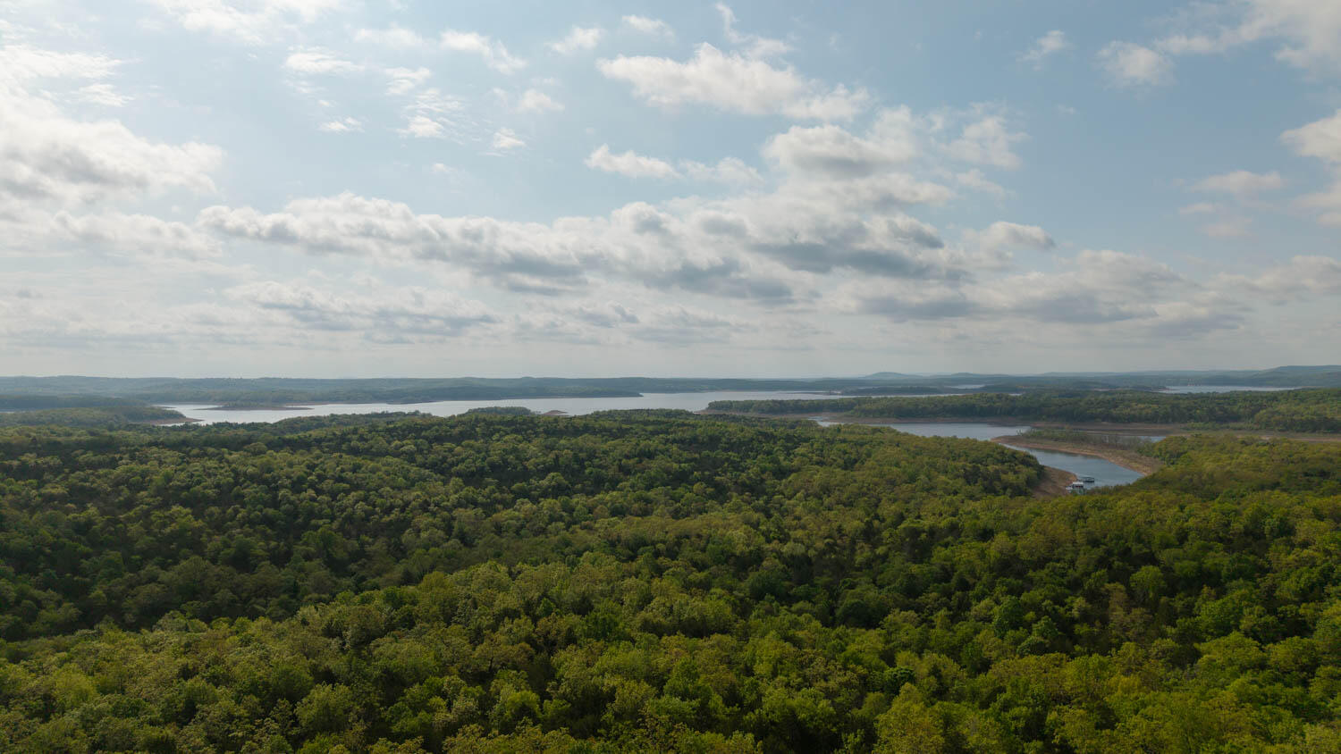178 Round Robin Lane Property Photo 4