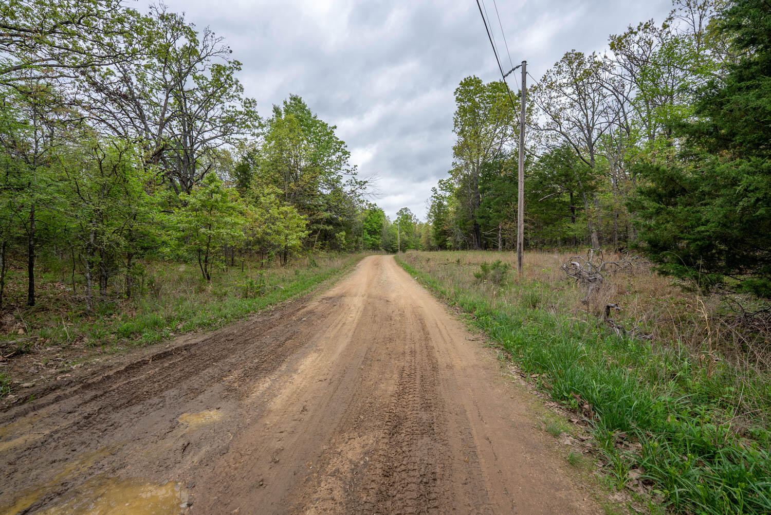 178 Round Robin Lane Property Photo 15
