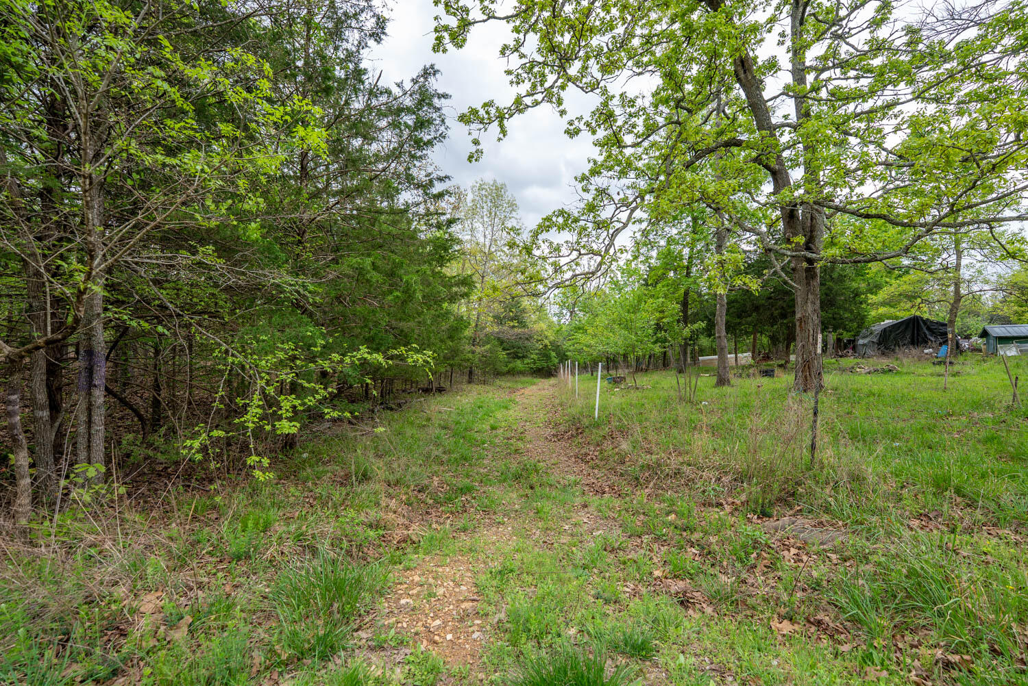 178 Round Robin Lane Property Photo 16
