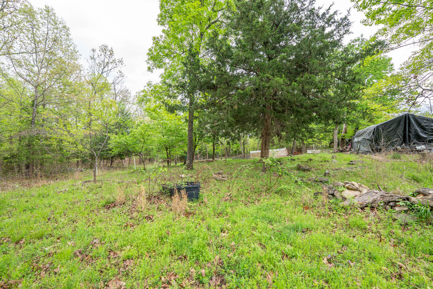 178 Round Robin Lane Property Photo 30